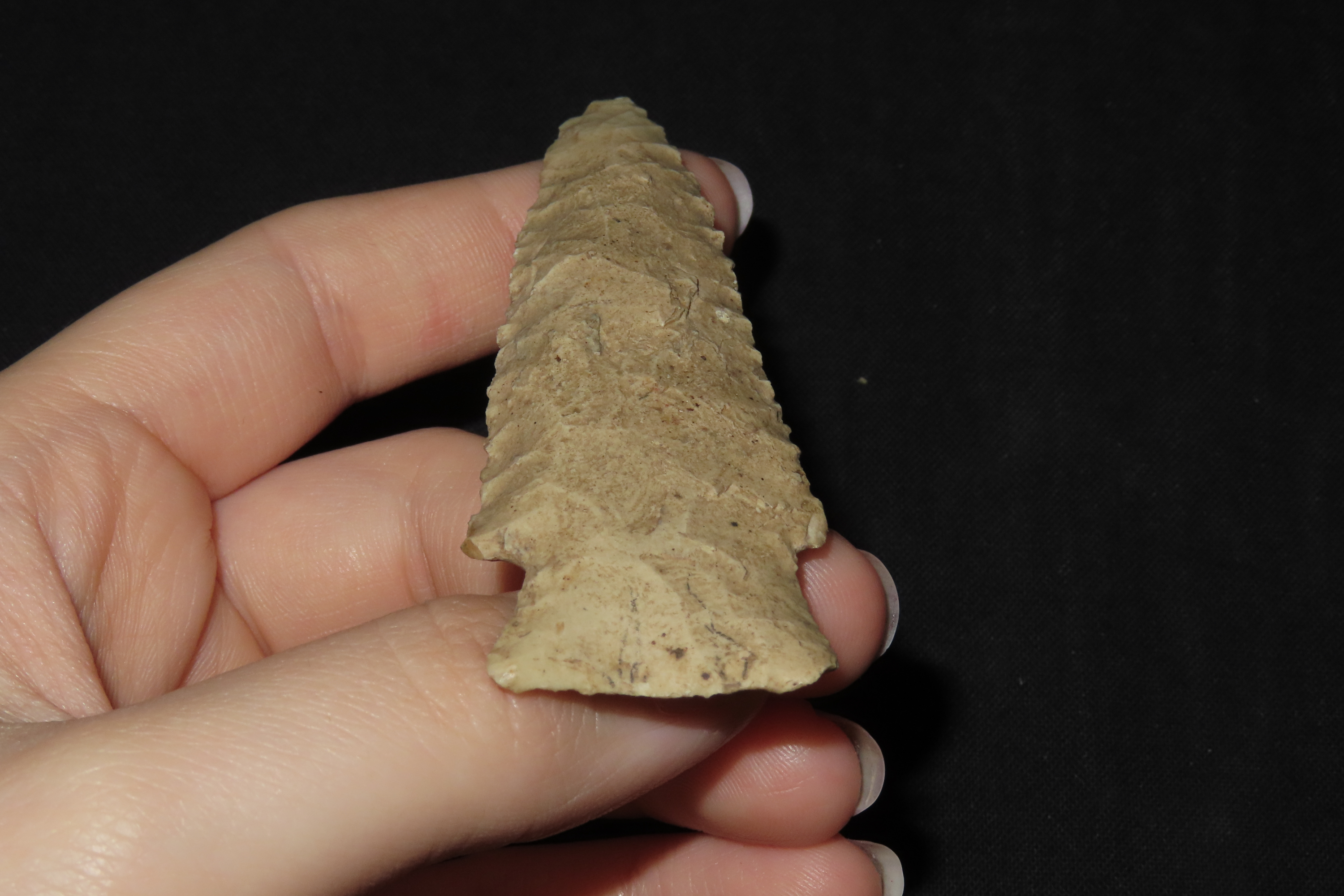 4 3/8" Paleo Blade, Jersey Co., Illinois