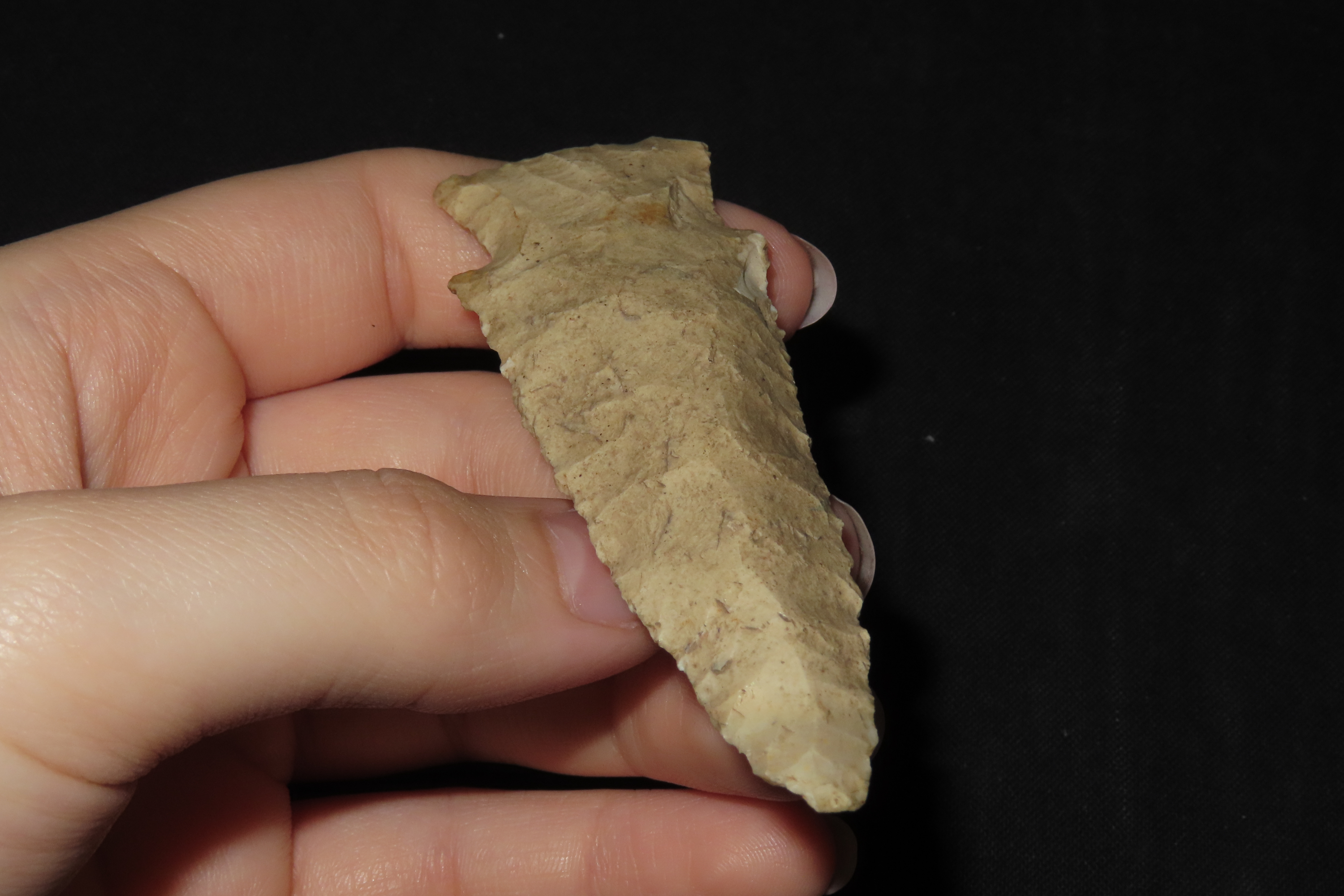4 3/8" Paleo Blade, Jersey Co., Illinois