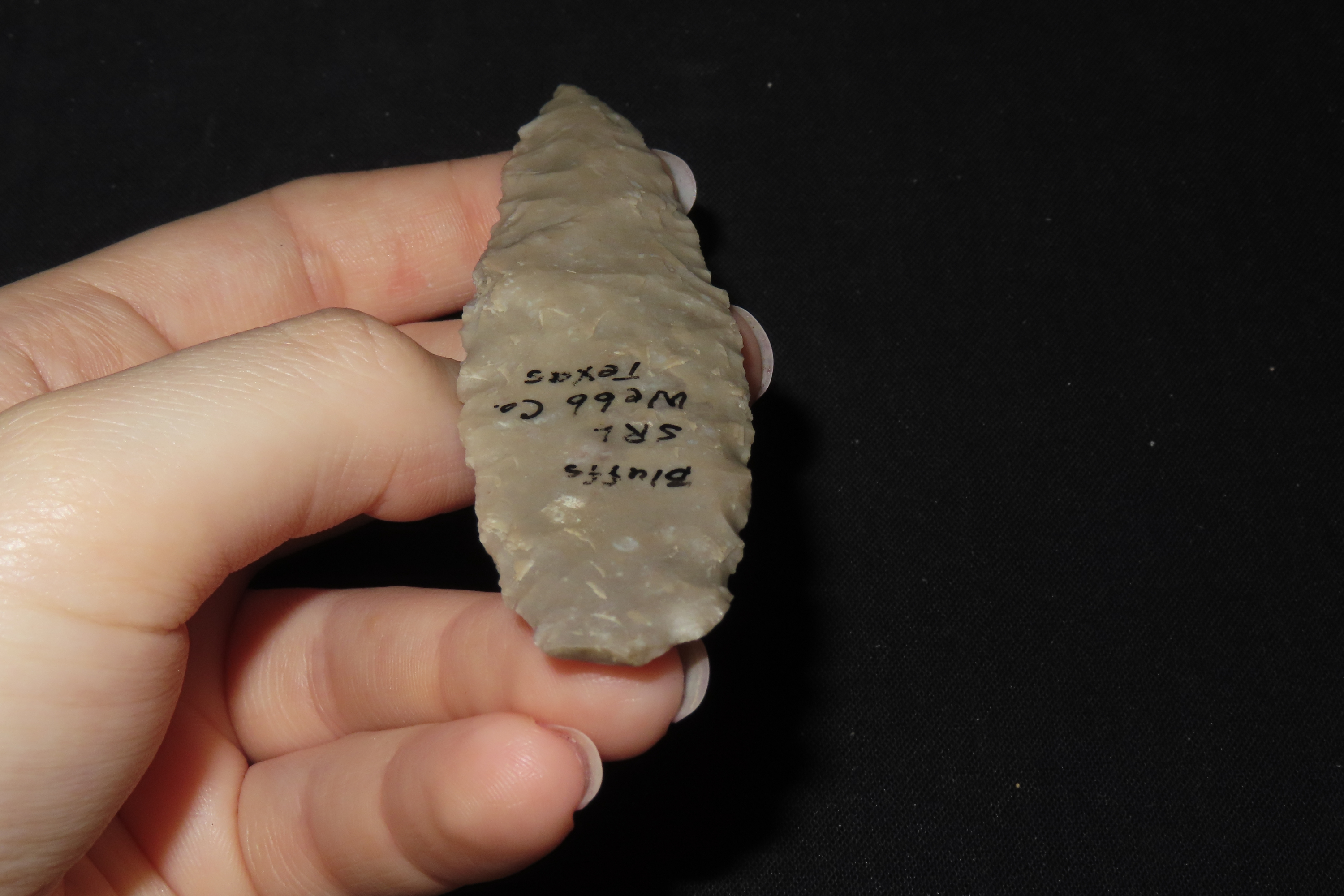 3 7/8" Lanceolate Point, Webb Co., Texas