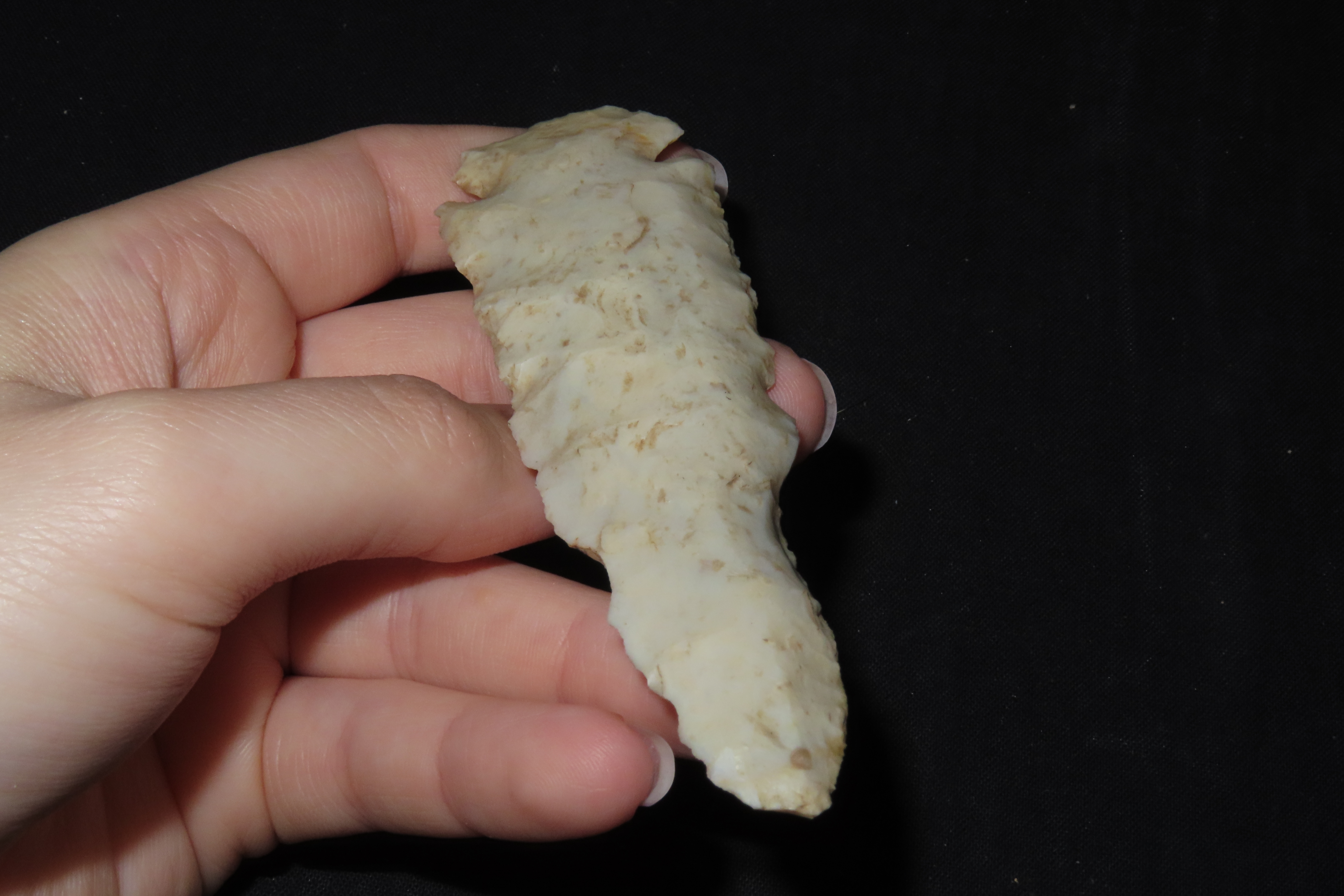 4 1/8" Dovetail, Jersey Co., Illinois