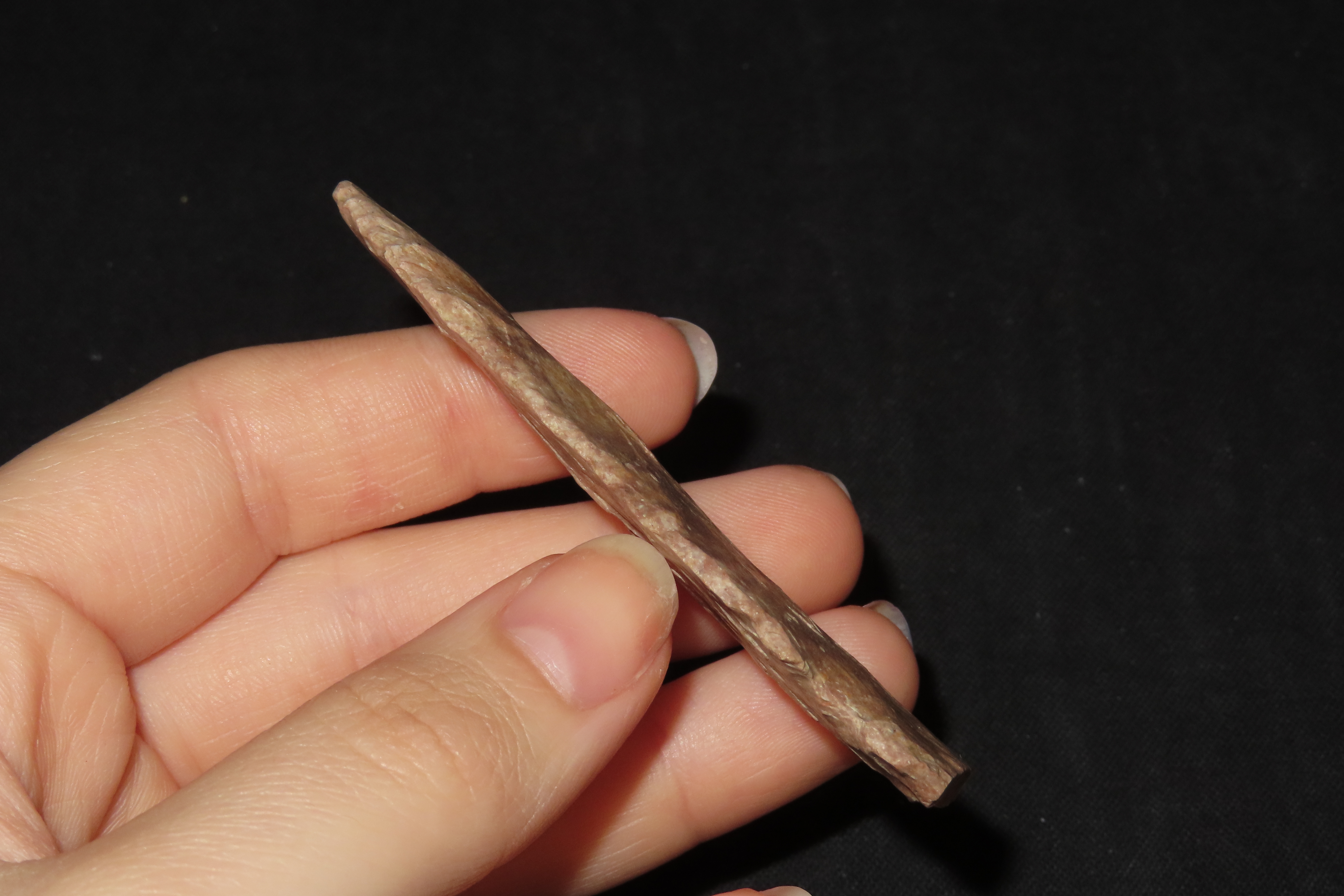 2 7/8" Square Stem Point, Clark Co., Illinois