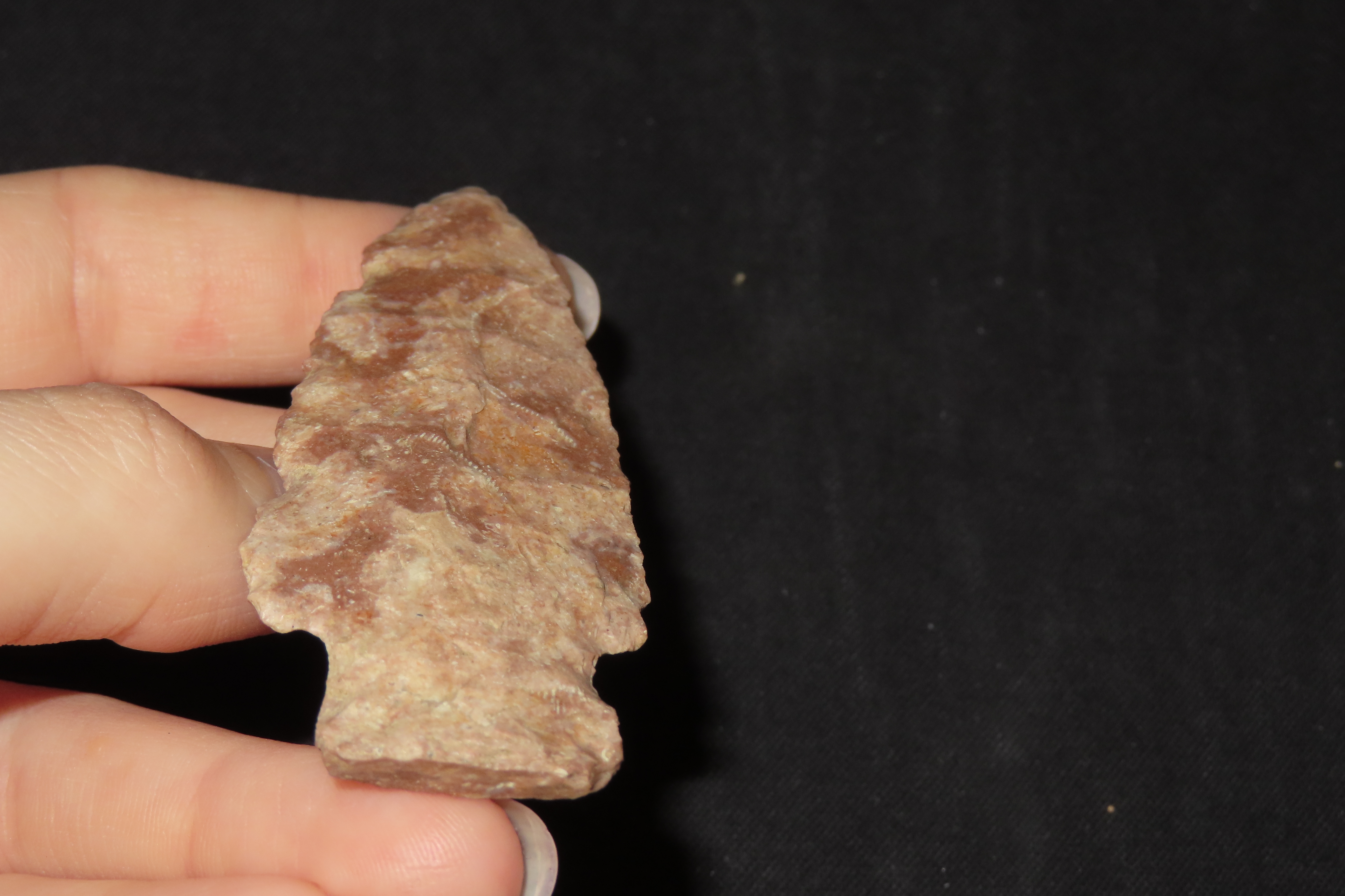 2 7/8" Square Stem Point, Clark Co., Illinois
