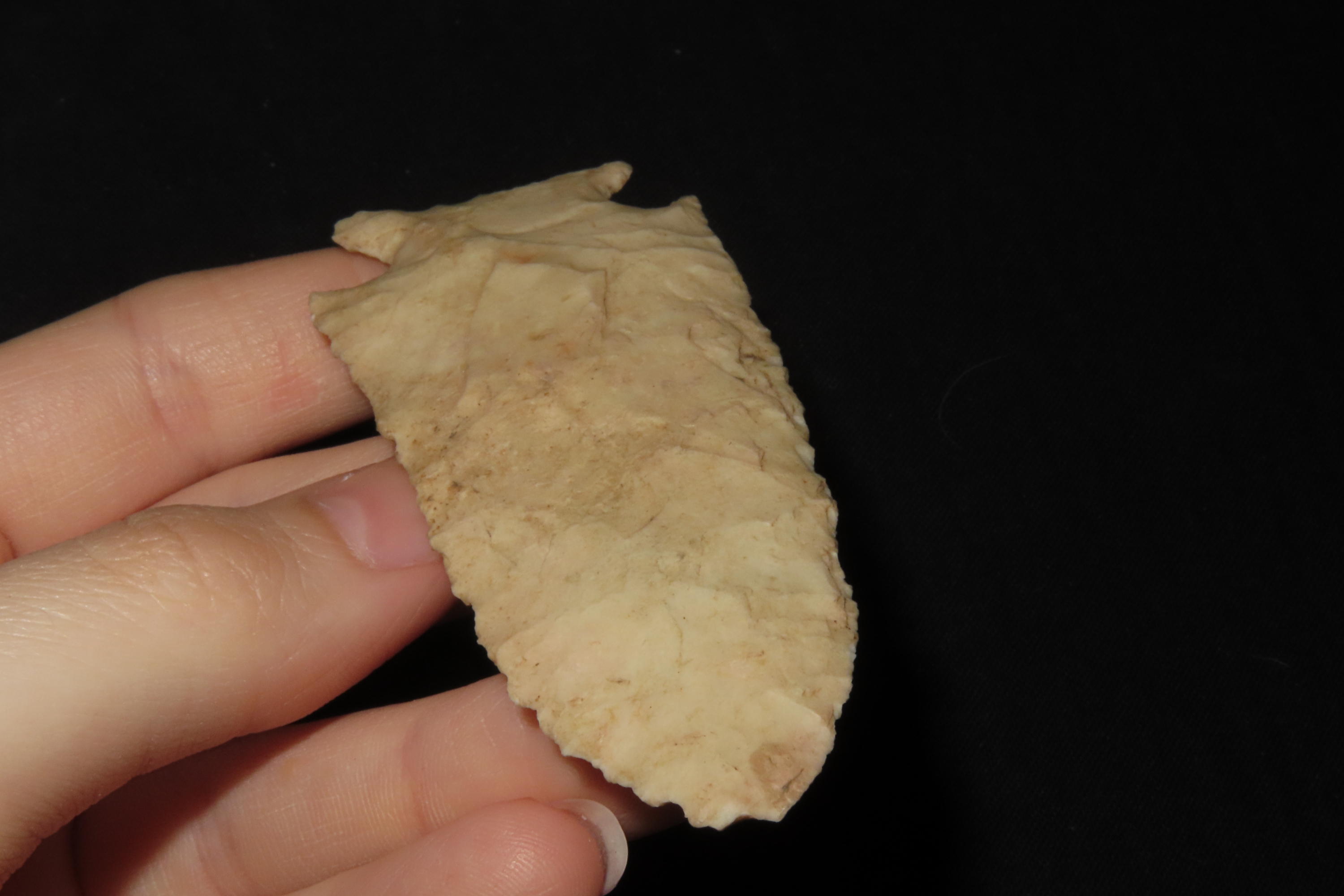 3 1/4" Stillwell, Found in Illinois