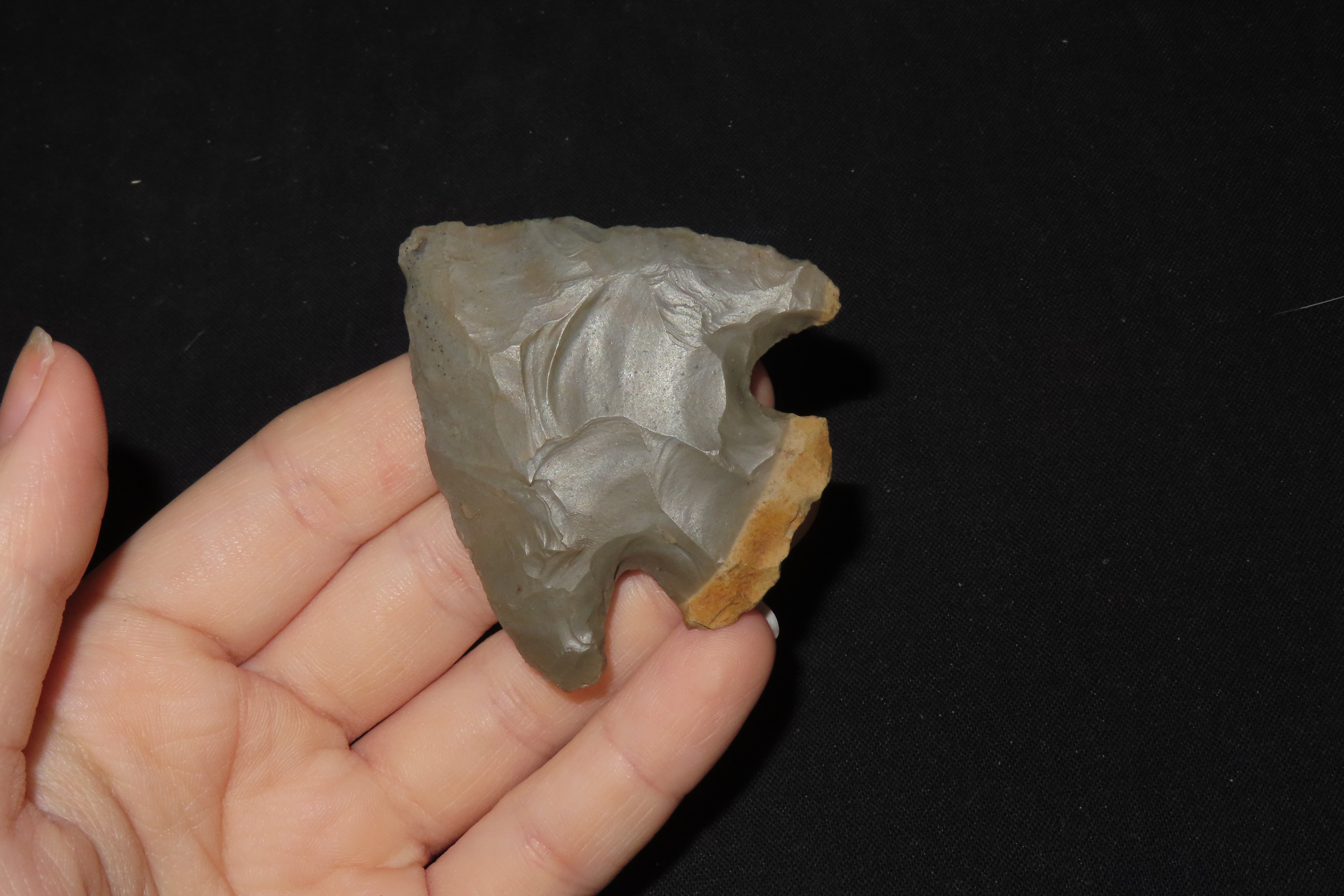 2 1/4" Snyder, Posey Co., Indiana