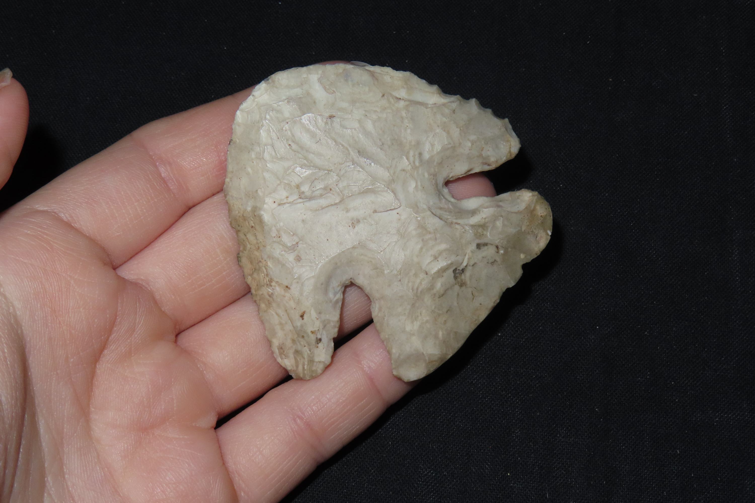 2 1/4" Thebes Blunt, Jersey Co., Illinois