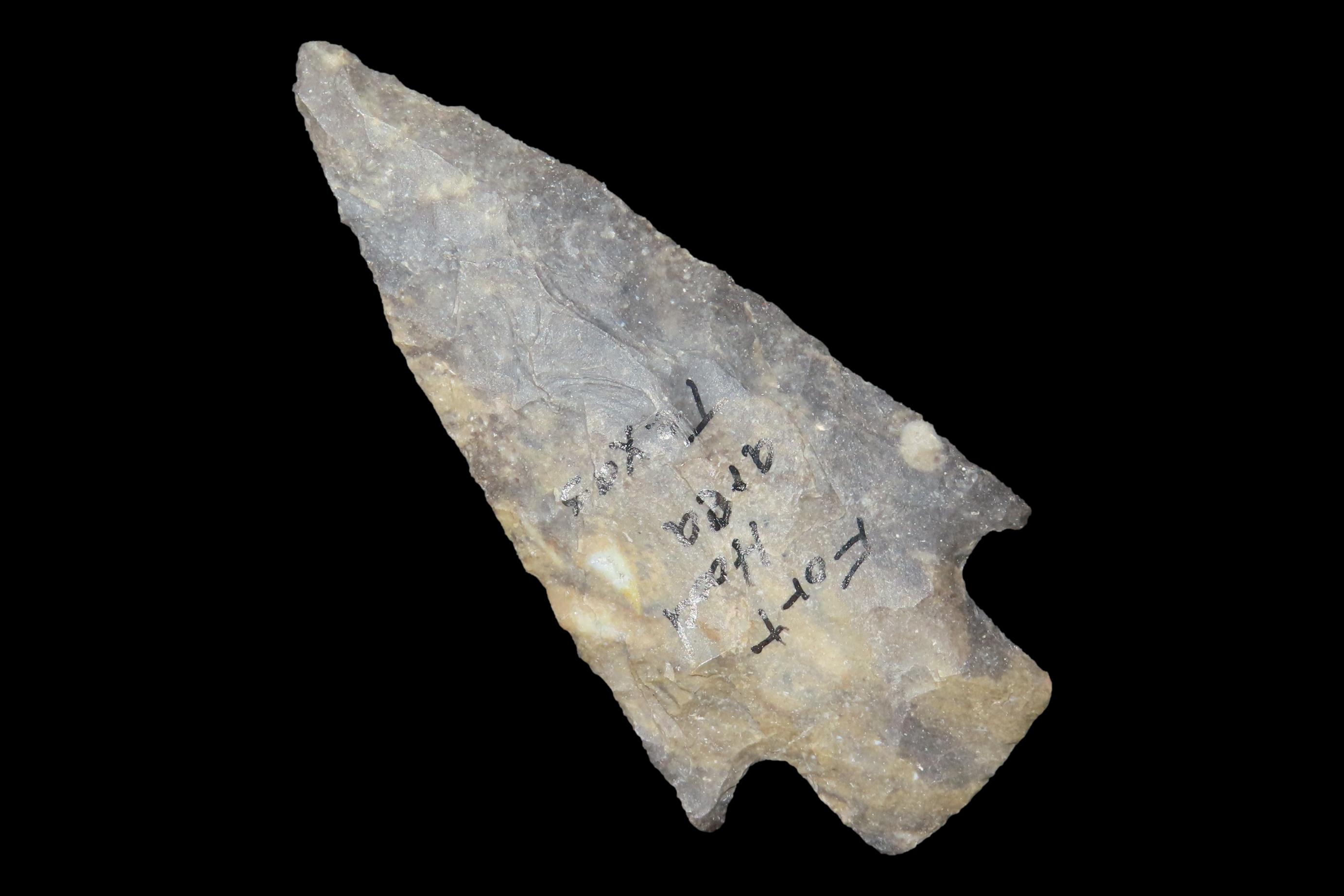 2 7/8" Scottsbluff, Found in Colorado