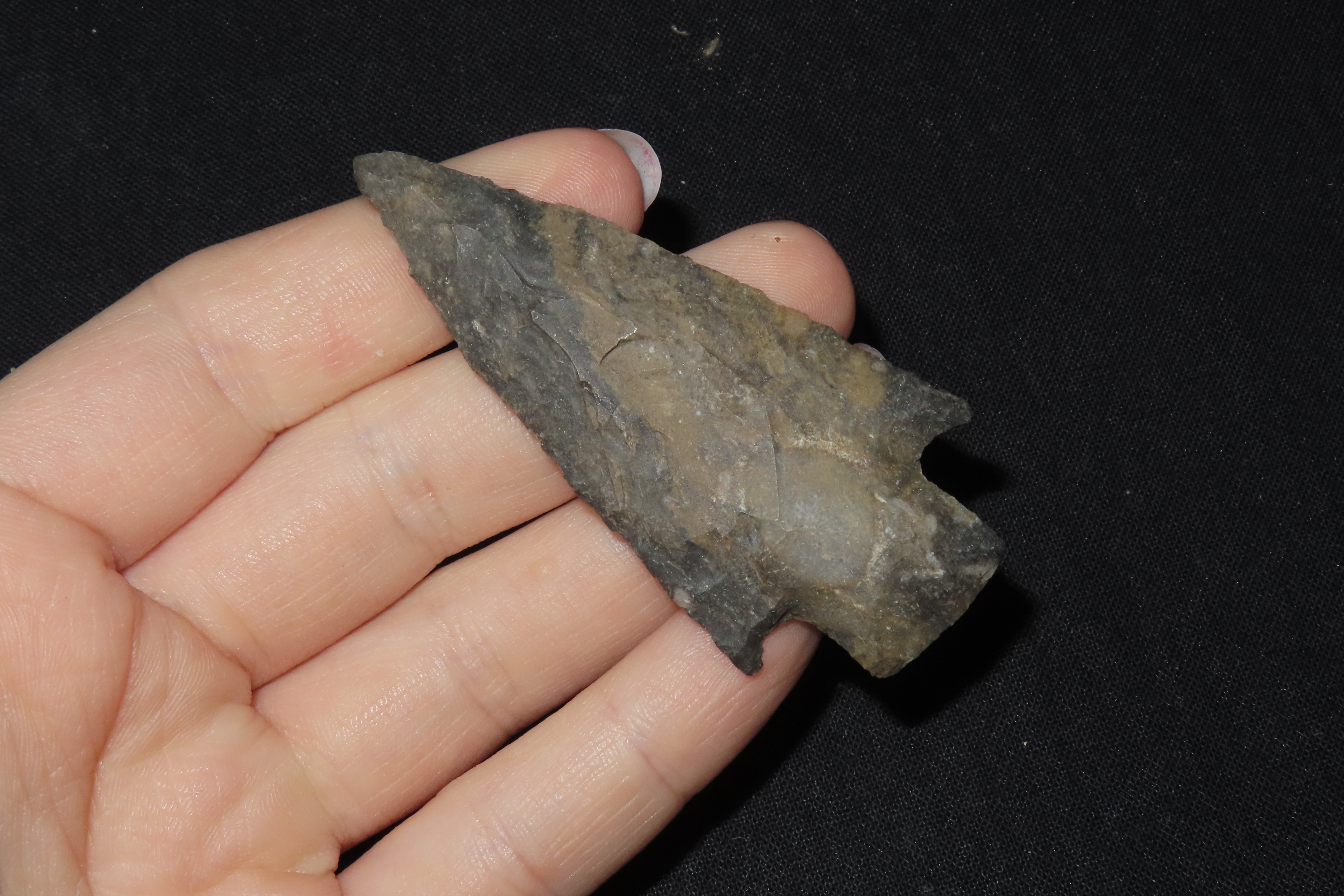 2 7/8" Scottsbluff, Found in Colorado