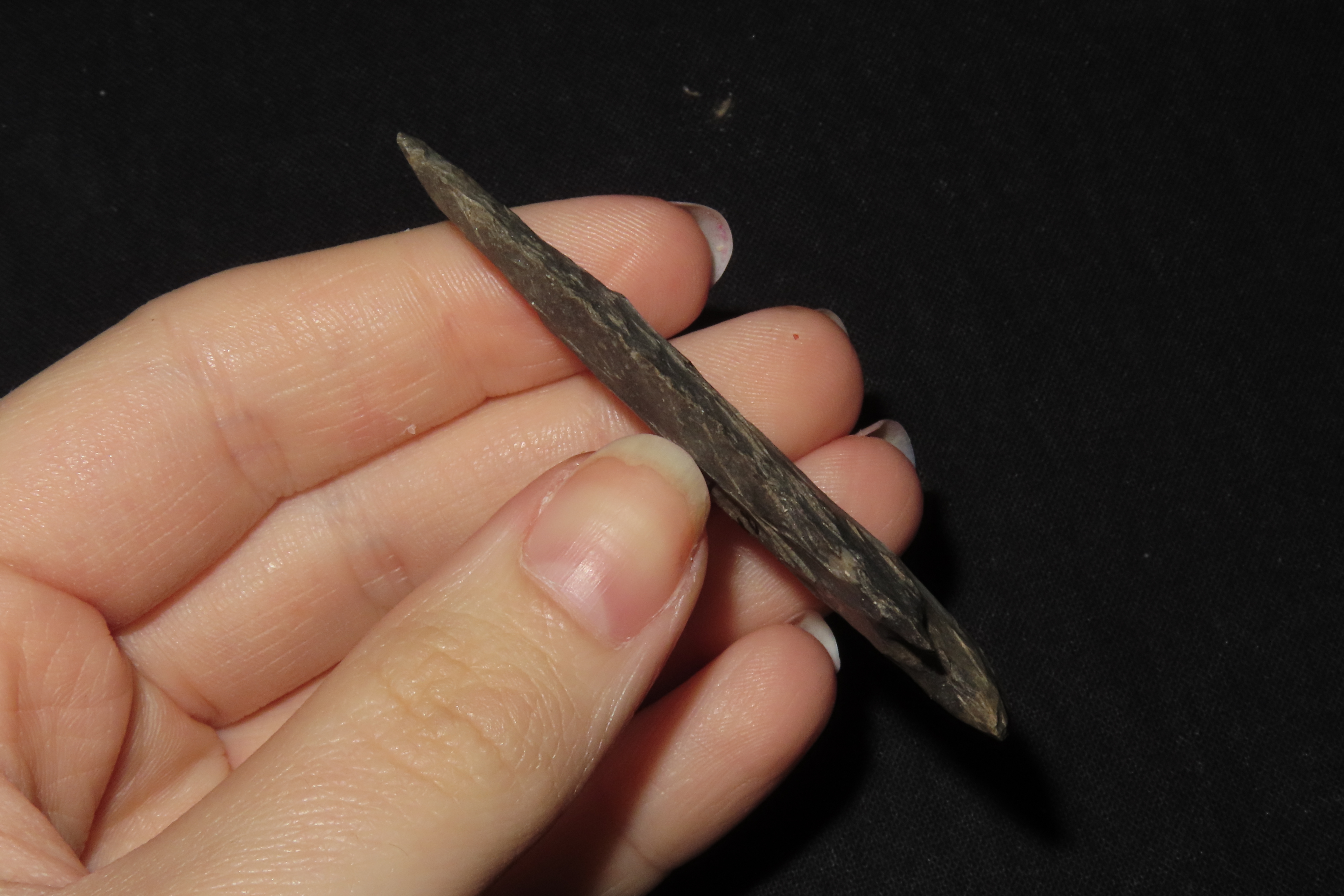 2 7/8" Scottsbluff, Found in Colorado