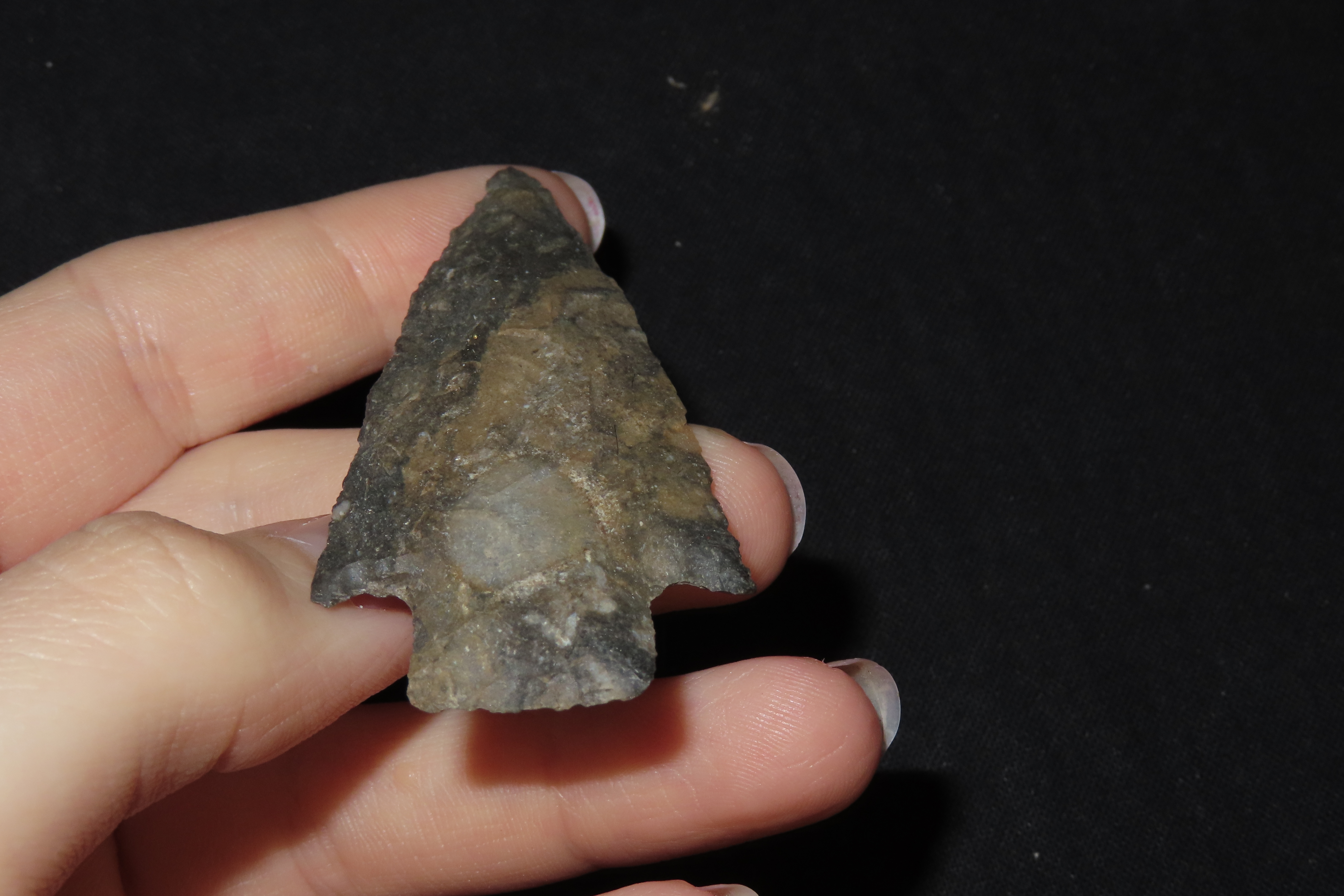 2 7/8" Scottsbluff, Found in Colorado