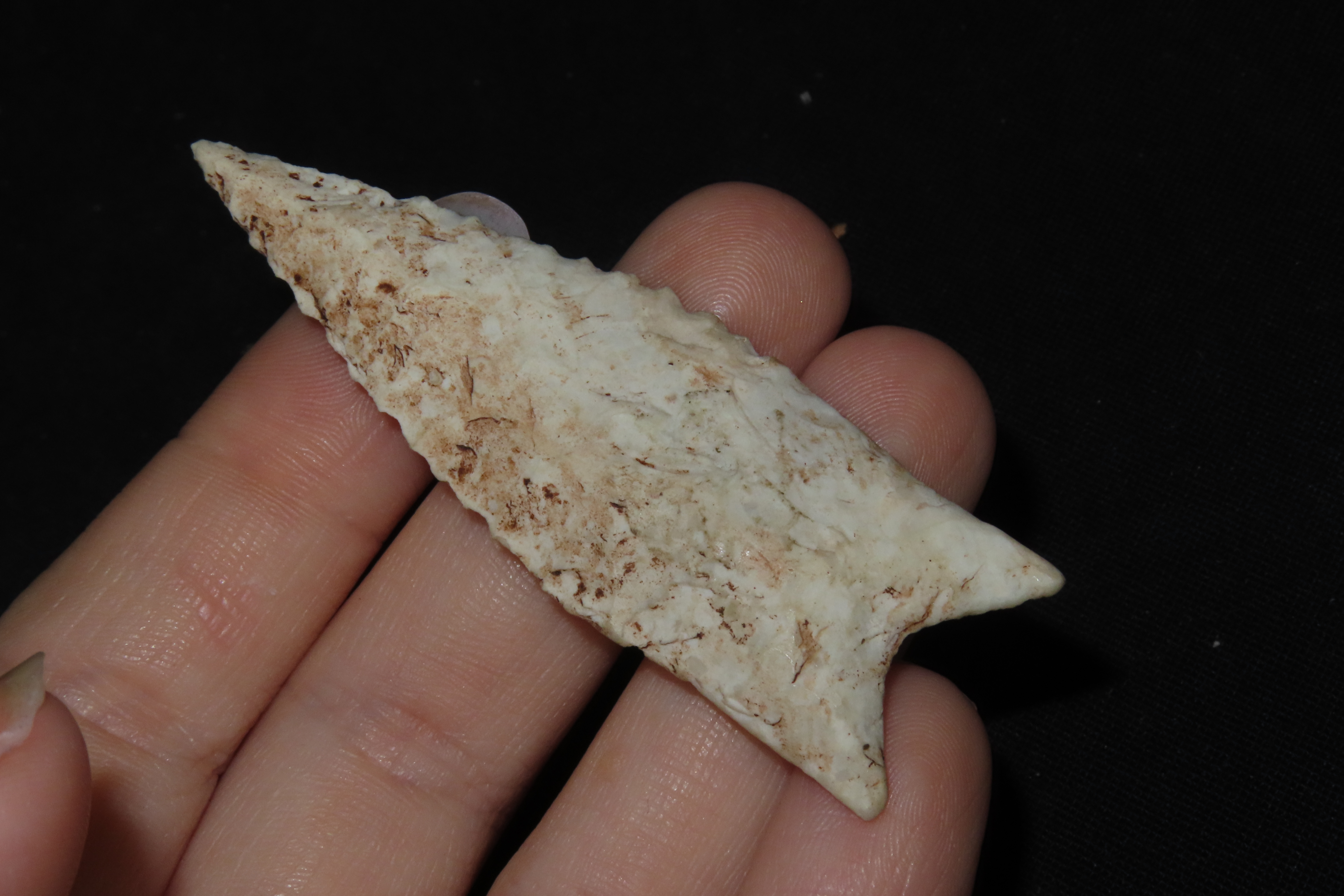 2 1/2" Dalton, Marion Co., Missouri