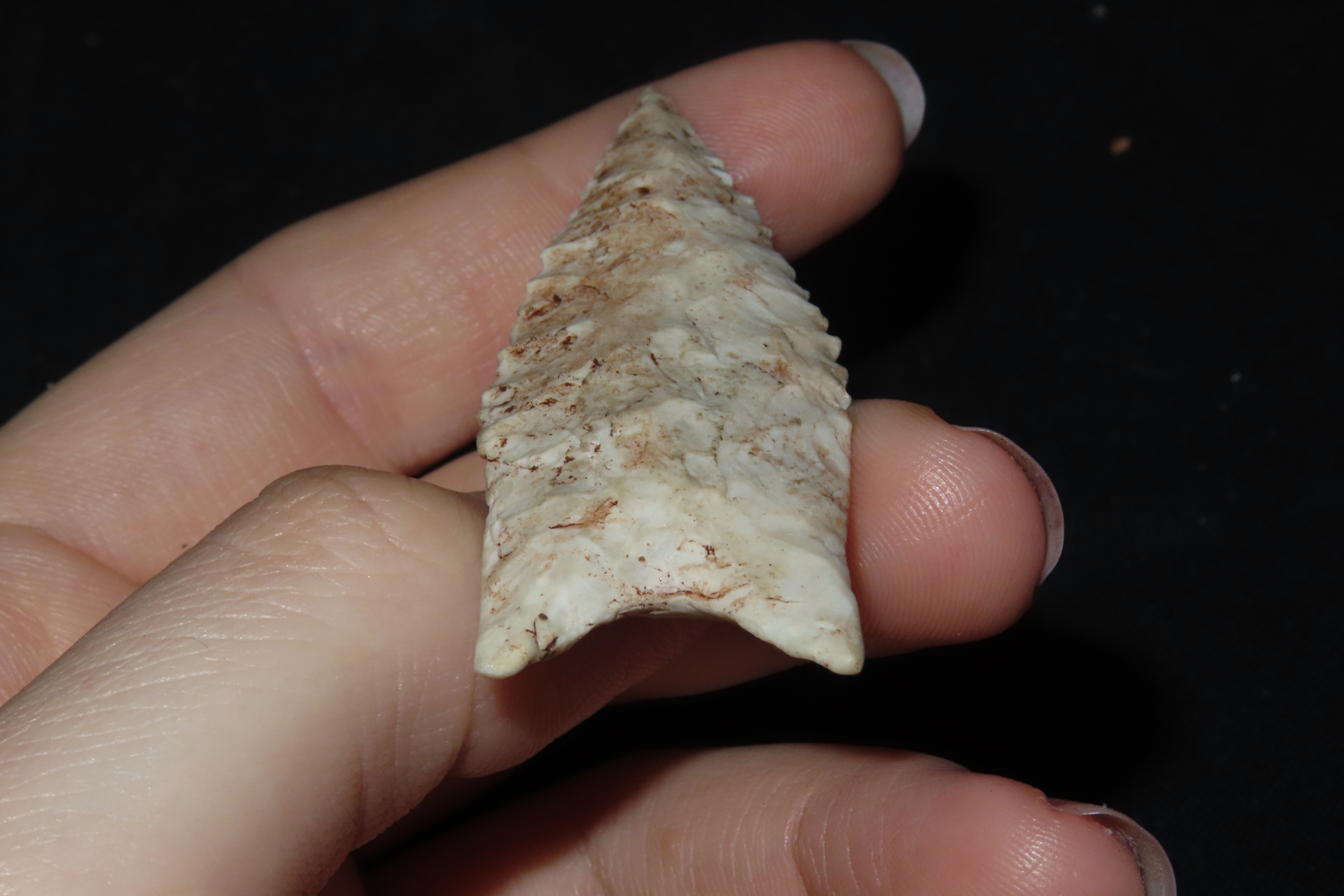 2 1/2" Dalton, Marion Co., Missouri