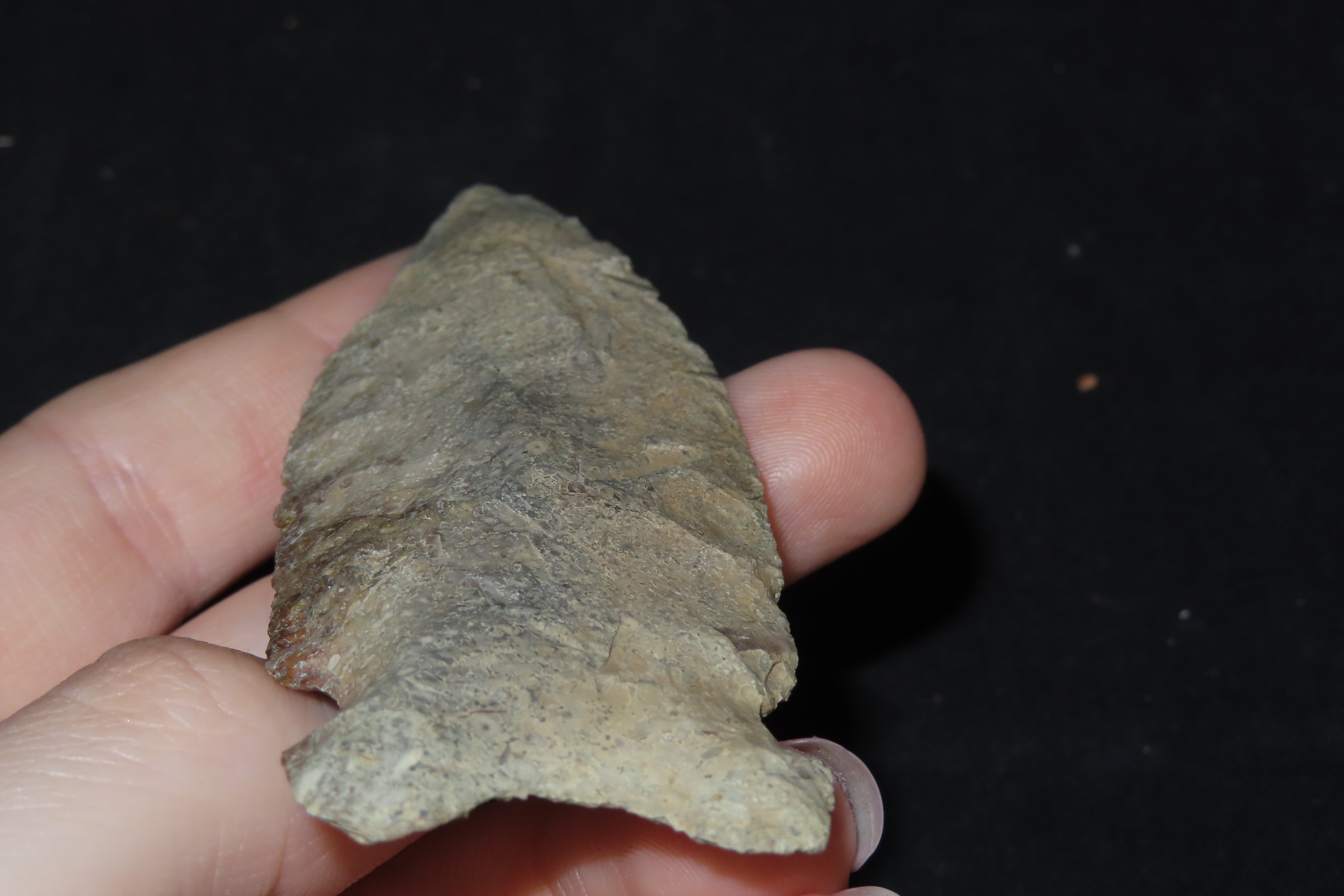 3 3/8" Osceola, Franklin Co., Missouri