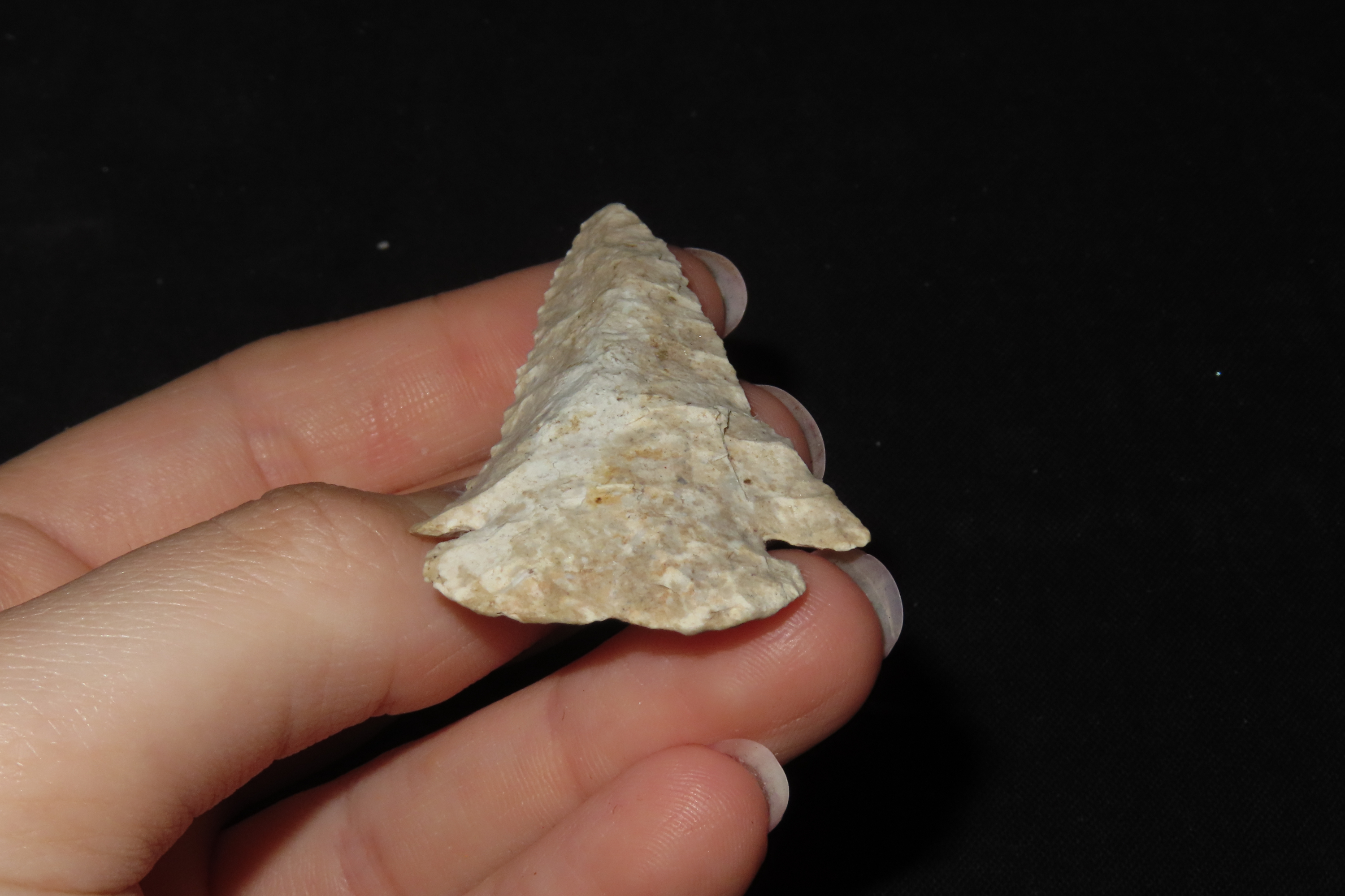 2 1/2" Dovetail, Found in Iowa
