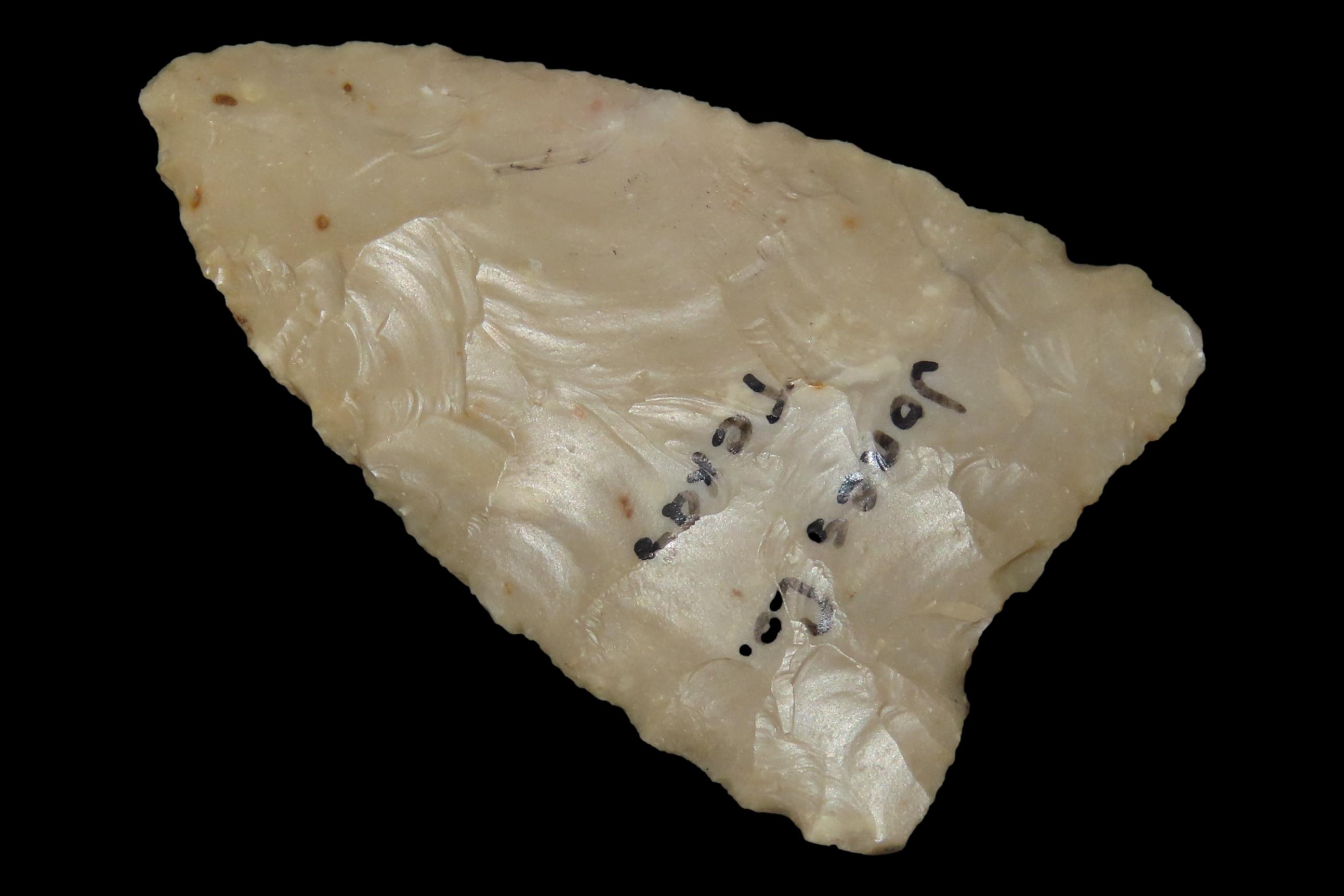 2 1/4" Friday Point, Jones Co., Texas