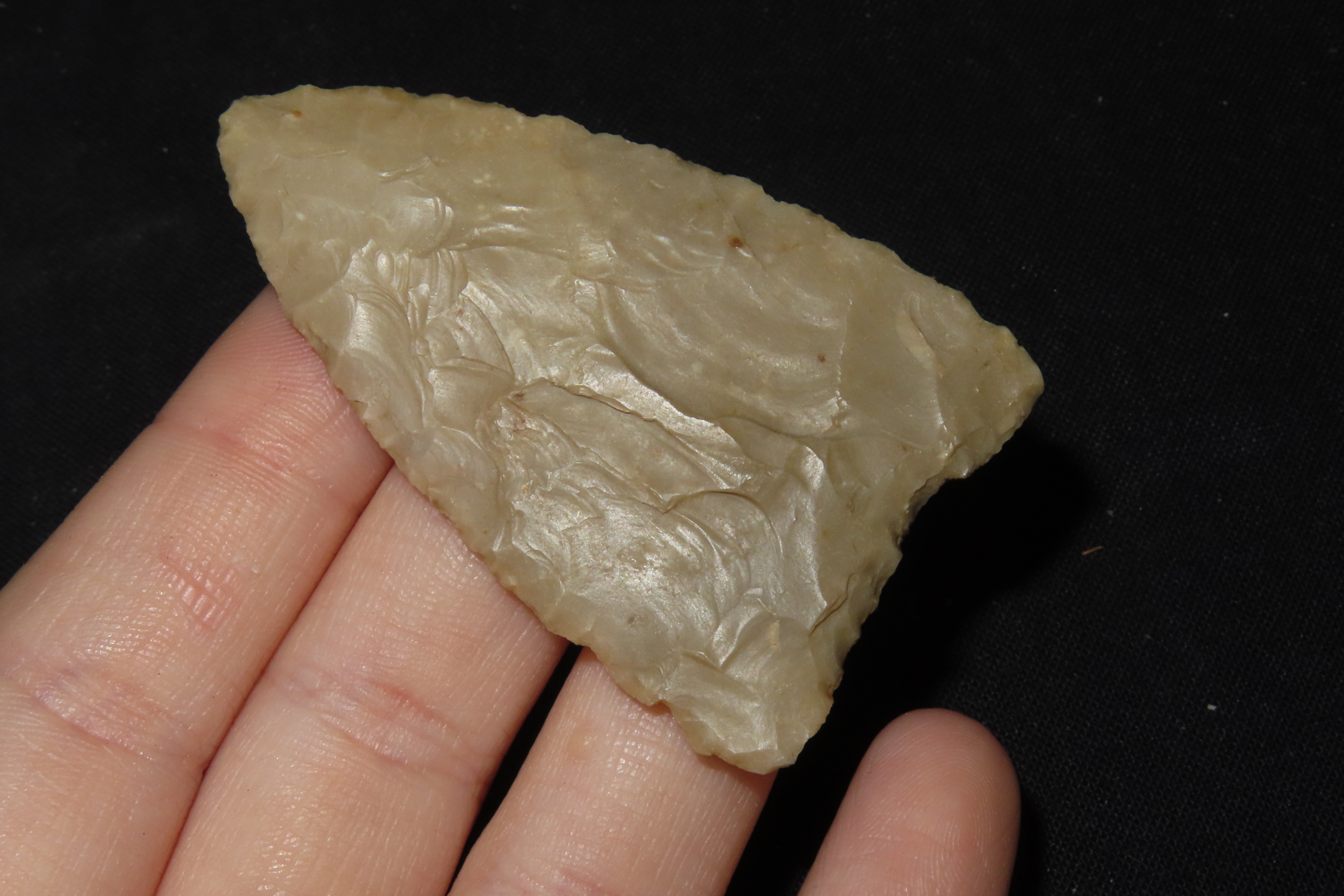 2 1/4" Friday Point, Jones Co., Texas