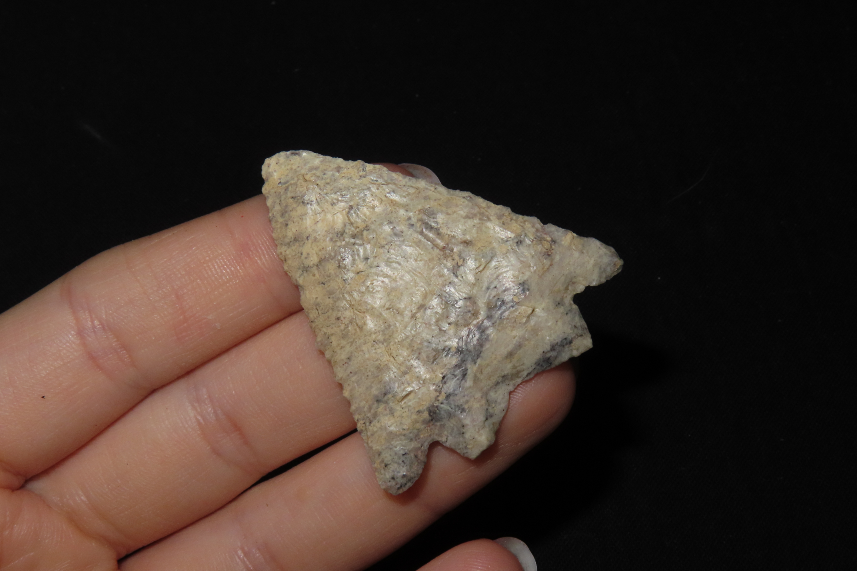 1 3/4" Point, Found Near Sinaloa, Mexico