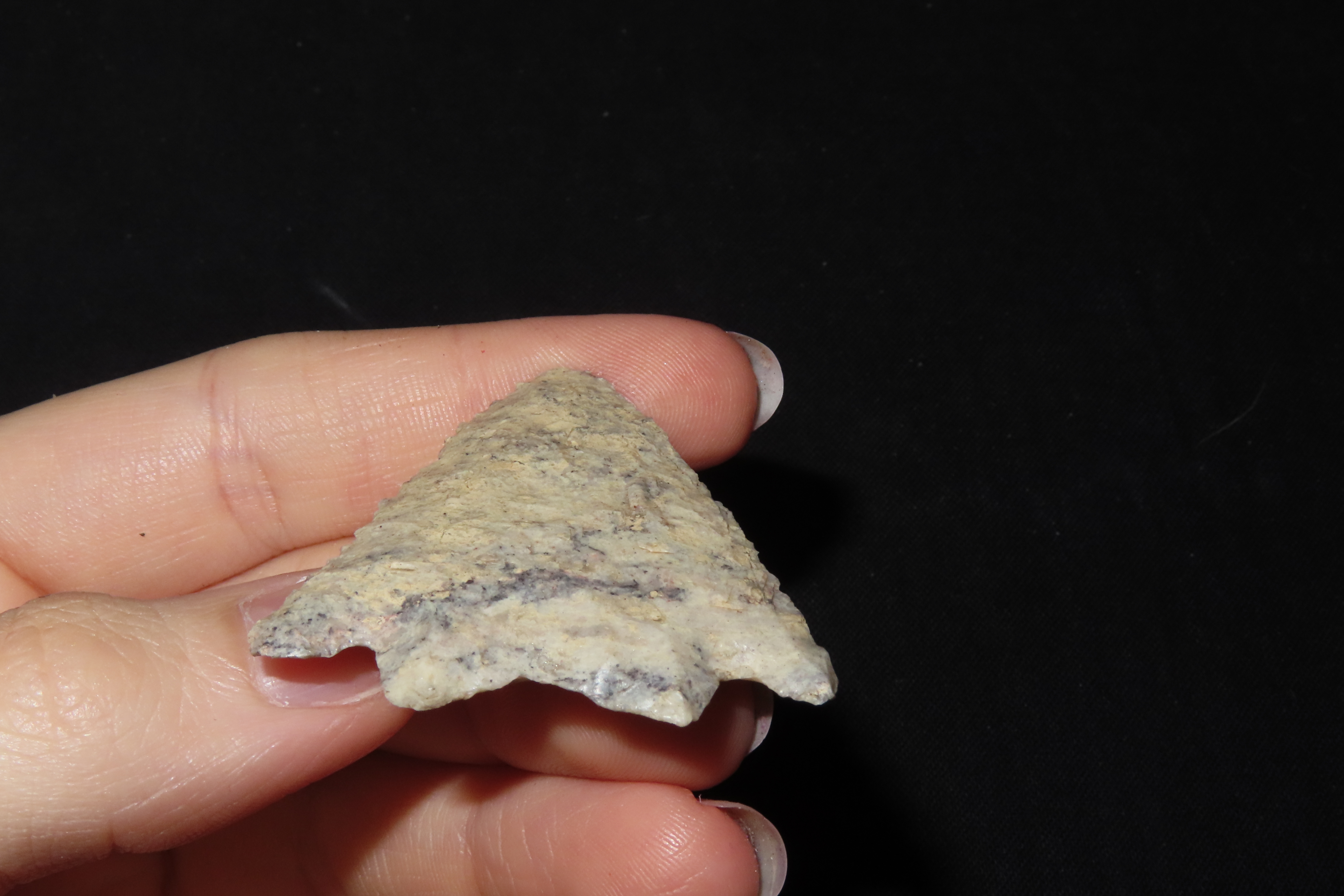 1 3/4" Point, Found Near Sinaloa, Mexico