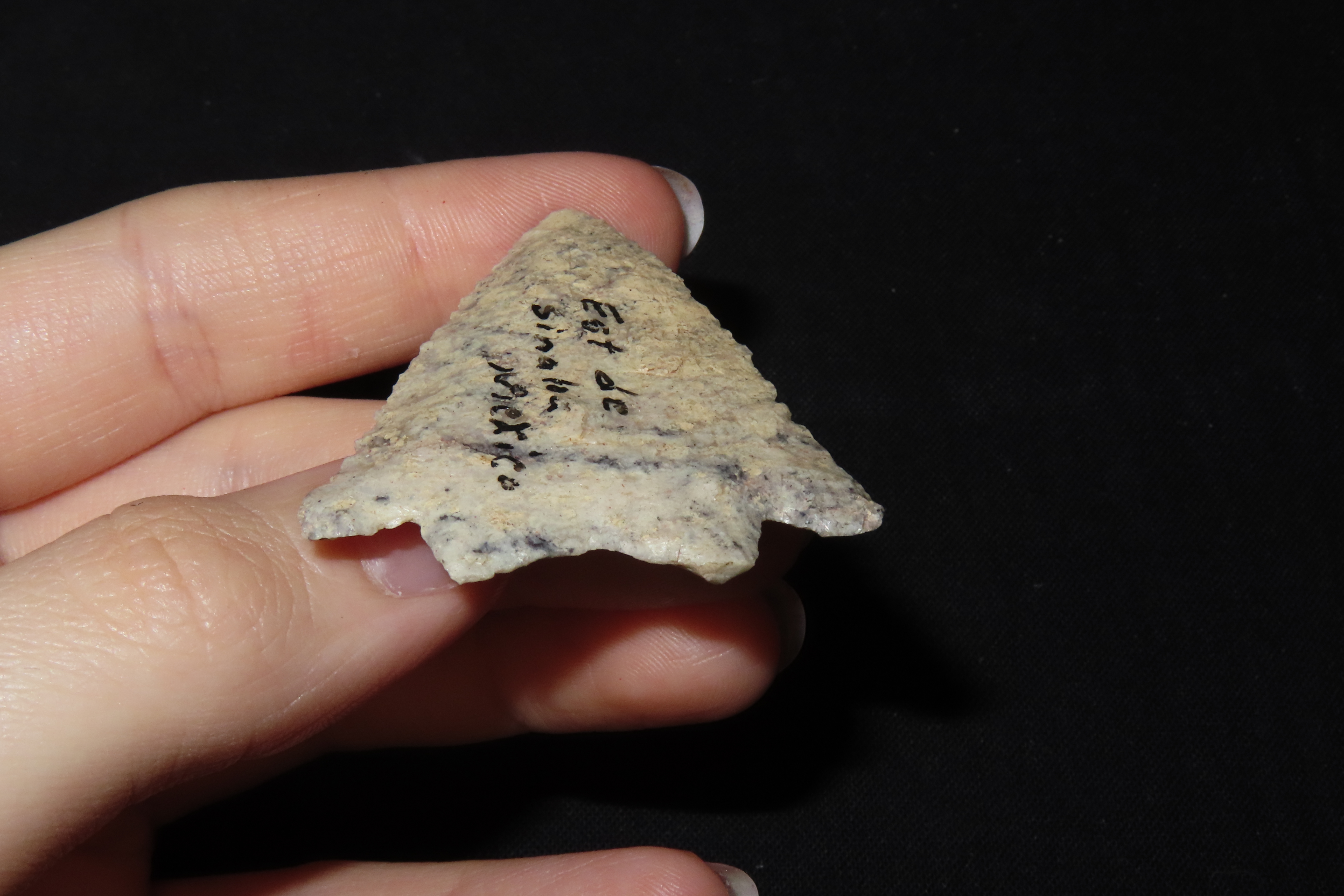 1 3/4" Point, Found Near Sinaloa, Mexico