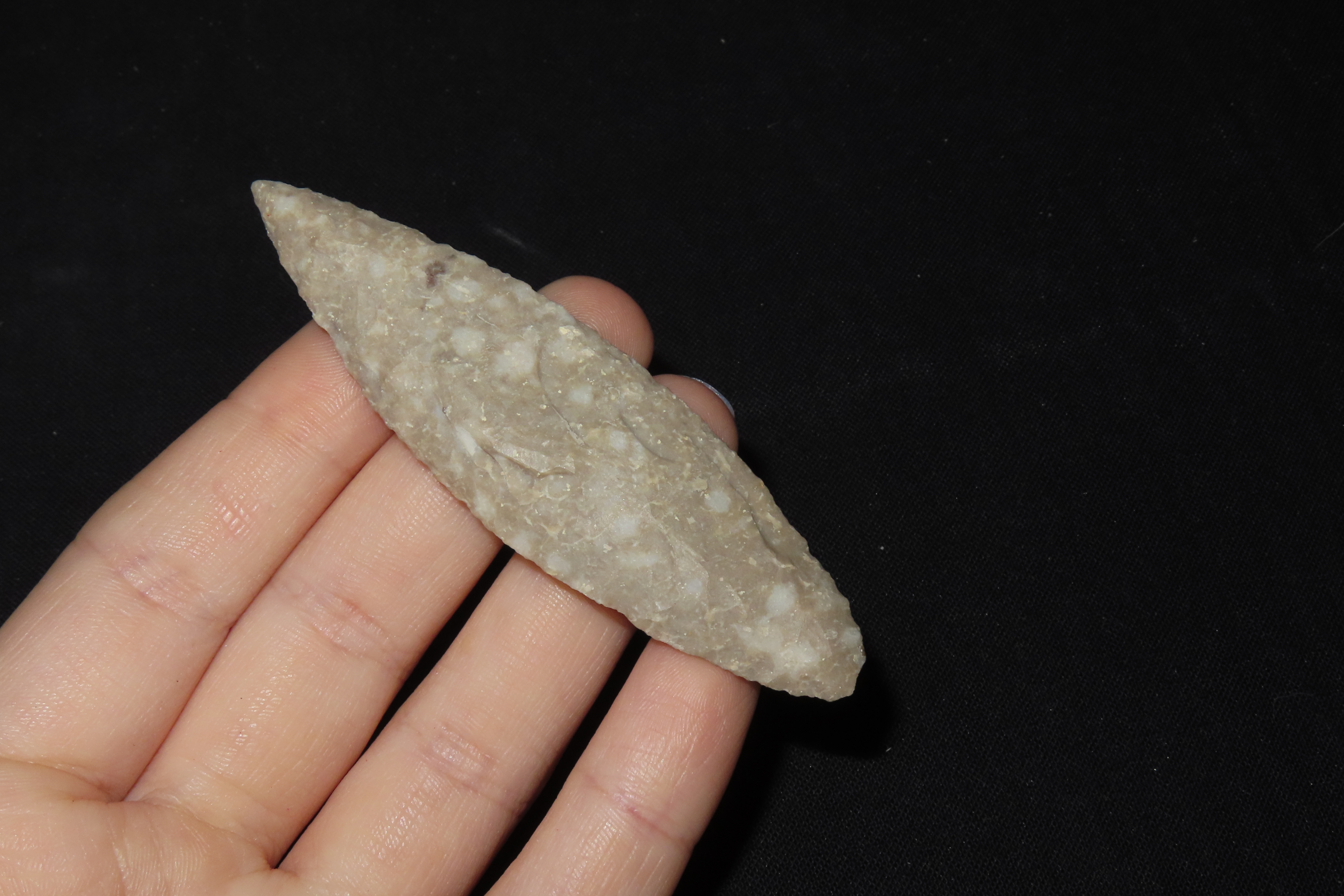 3 1/8" Point, Found Near Durango, Mexico