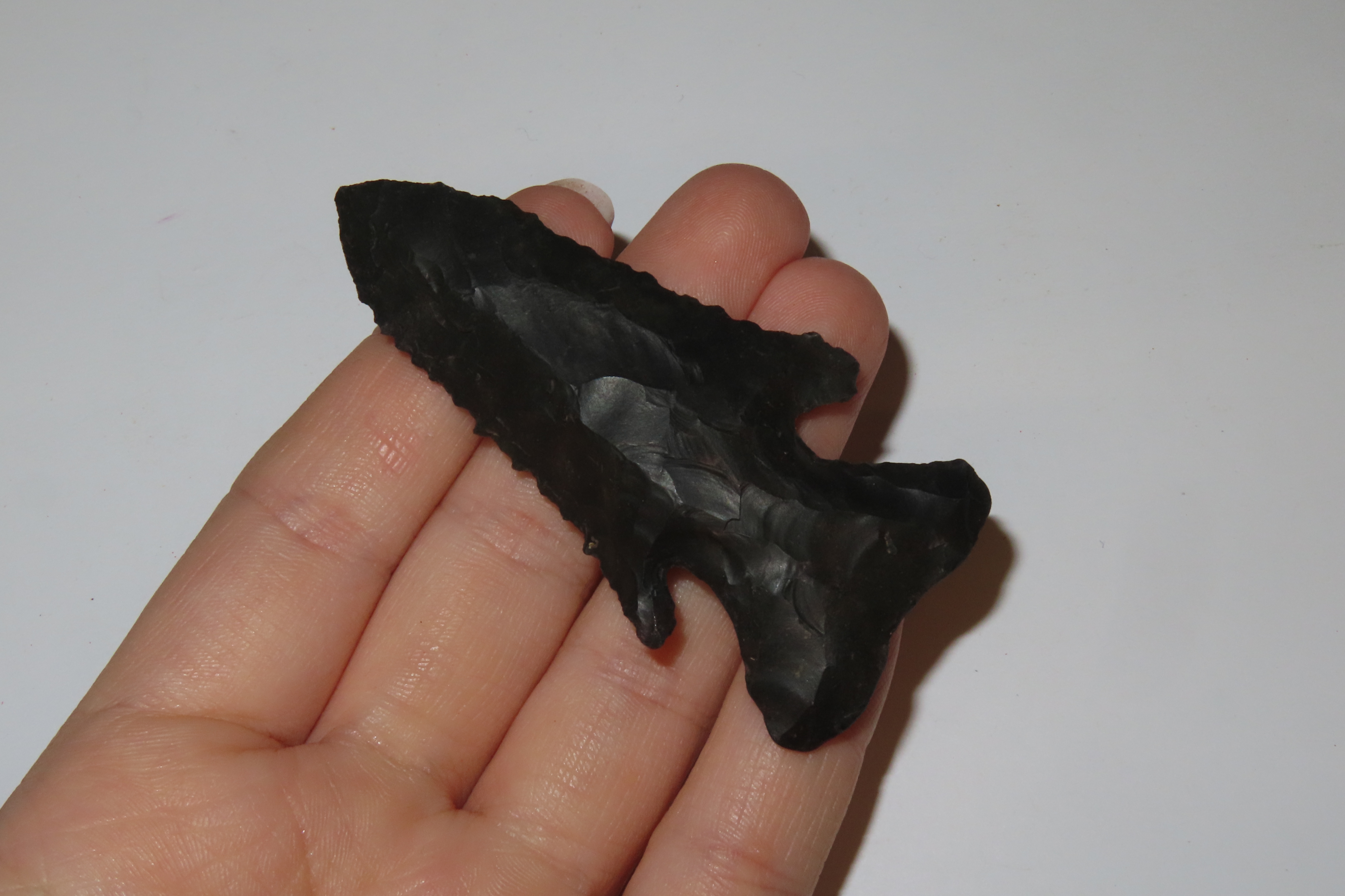 2 3/4" Thebes, Licking Co., Ohio