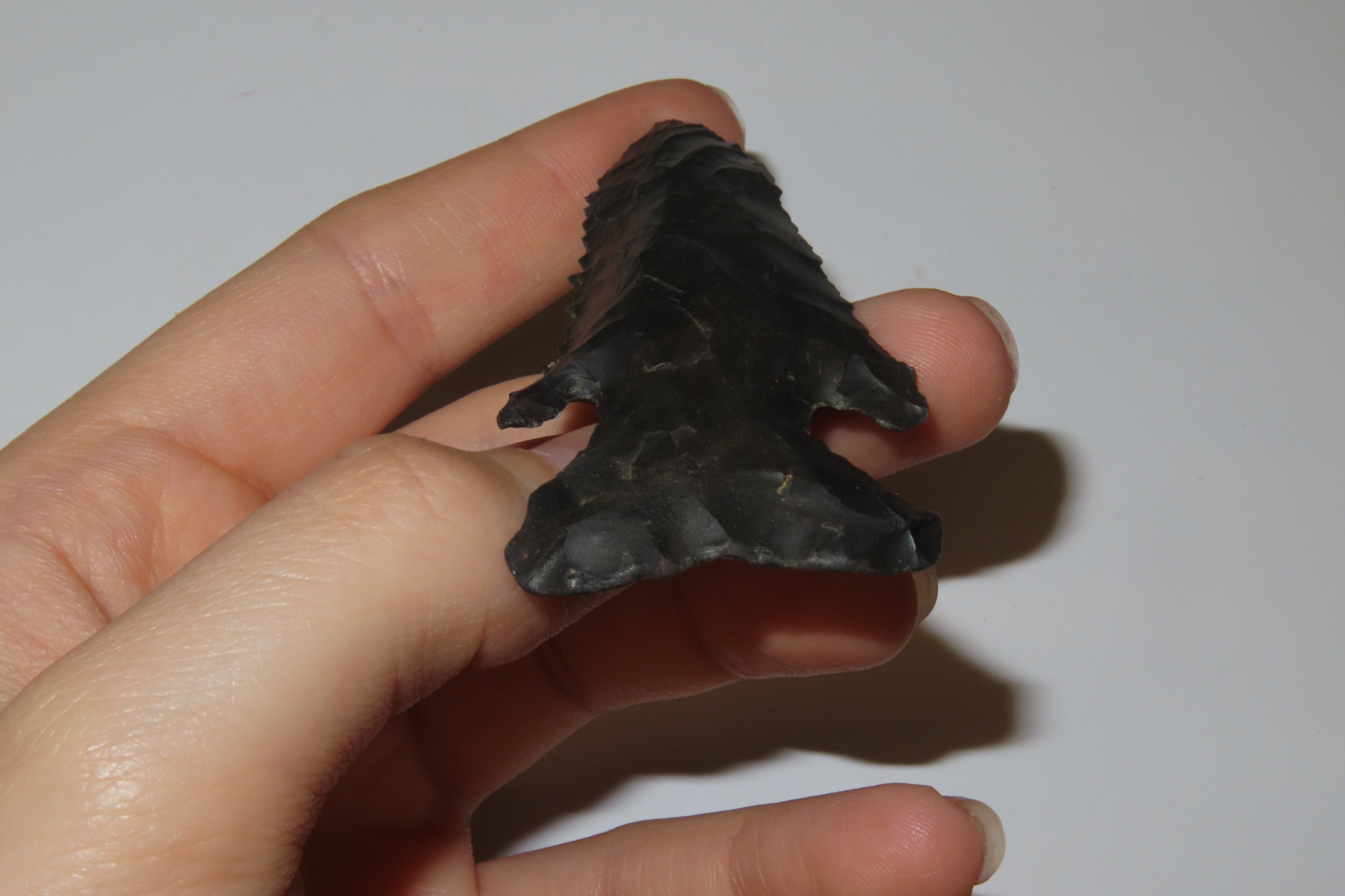 2 3/4" Thebes, Licking Co., Ohio