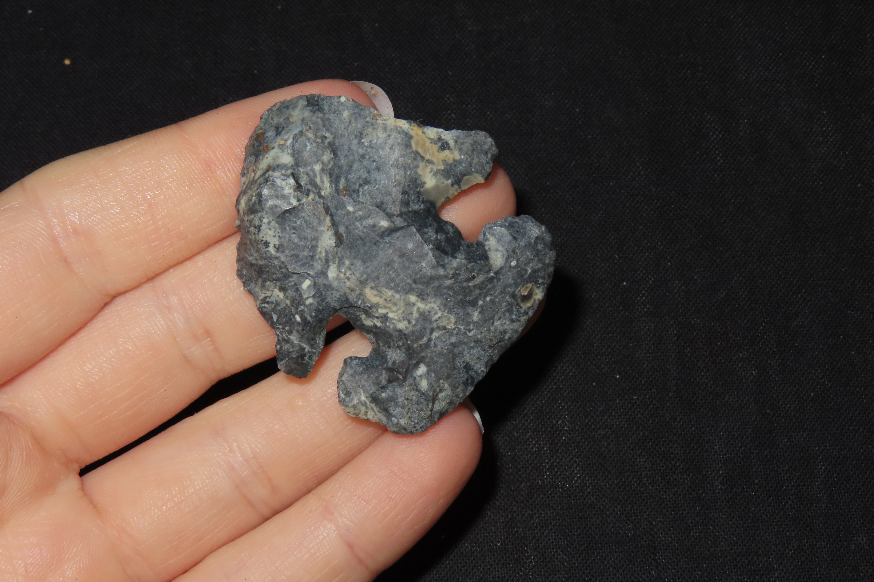 1 1/2" Thebes Blunt, Found in Ohio