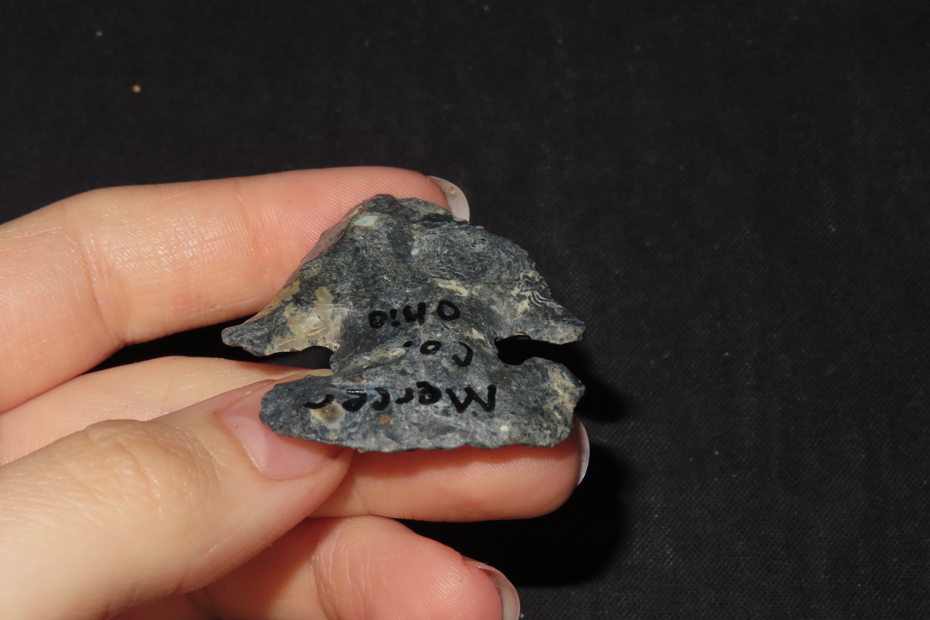 1 1/2" Thebes Blunt, Found in Ohio