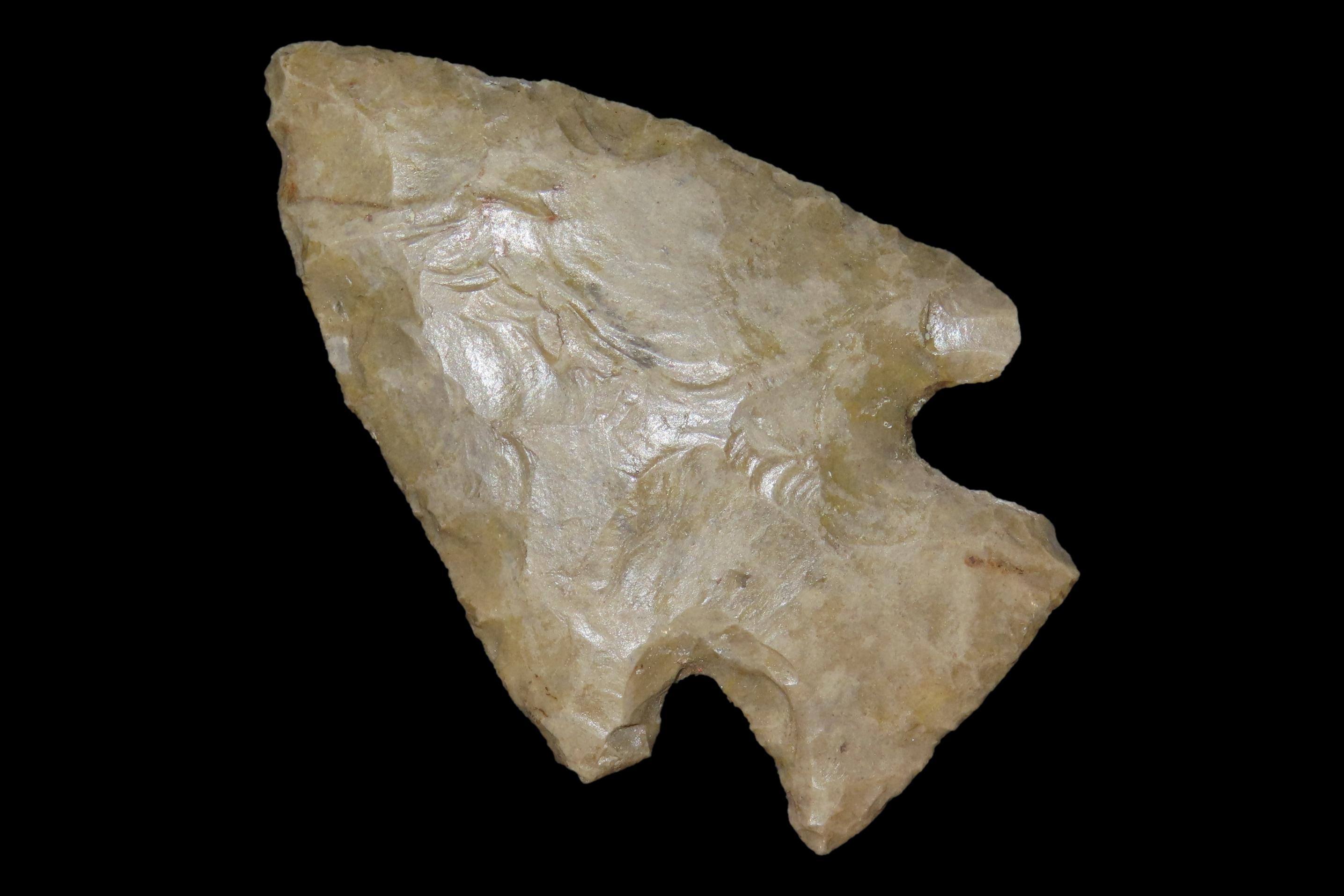 2 3/4" Woodland Point, Found in Missouri