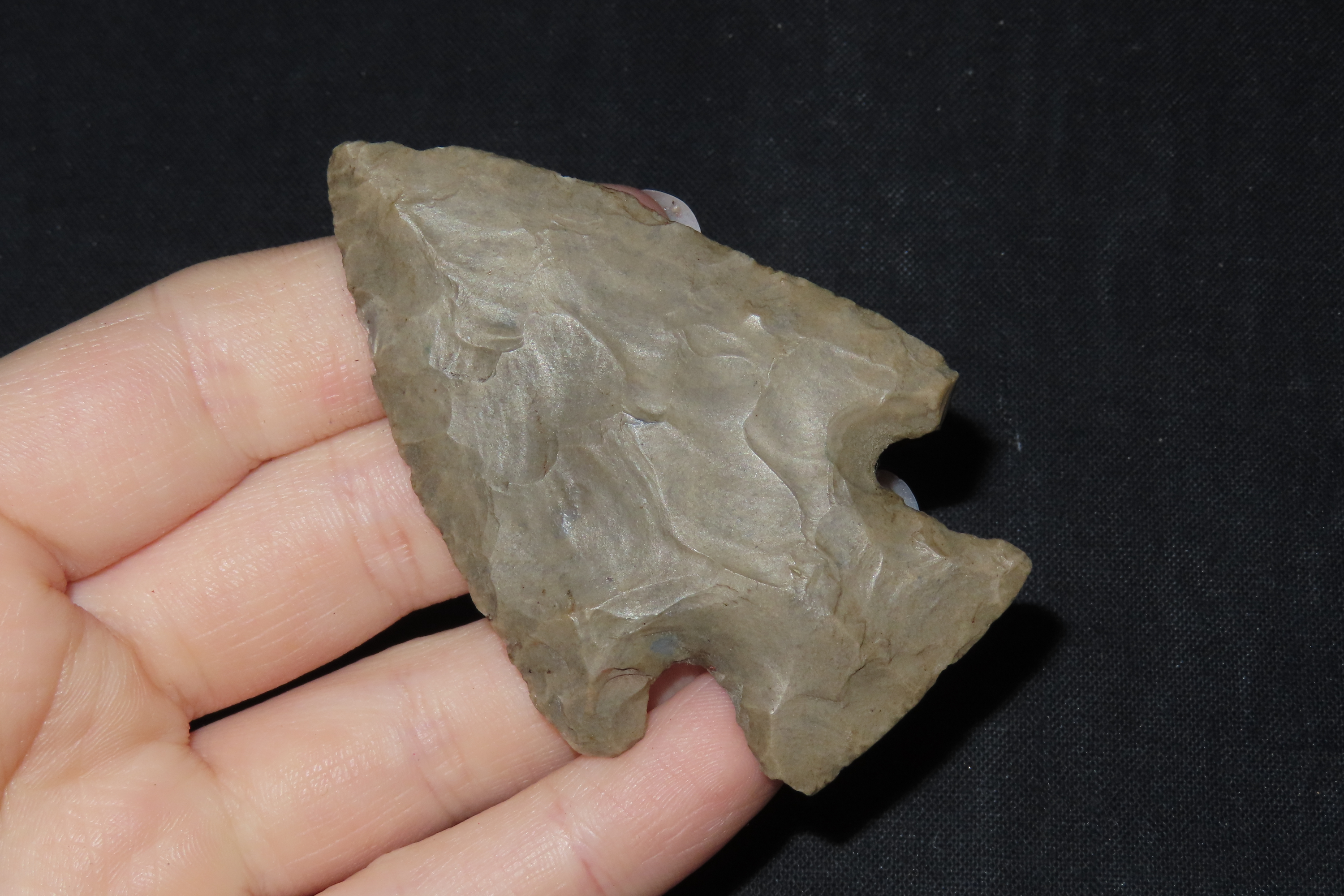 2 3/4" Woodland Point, Found in Missouri