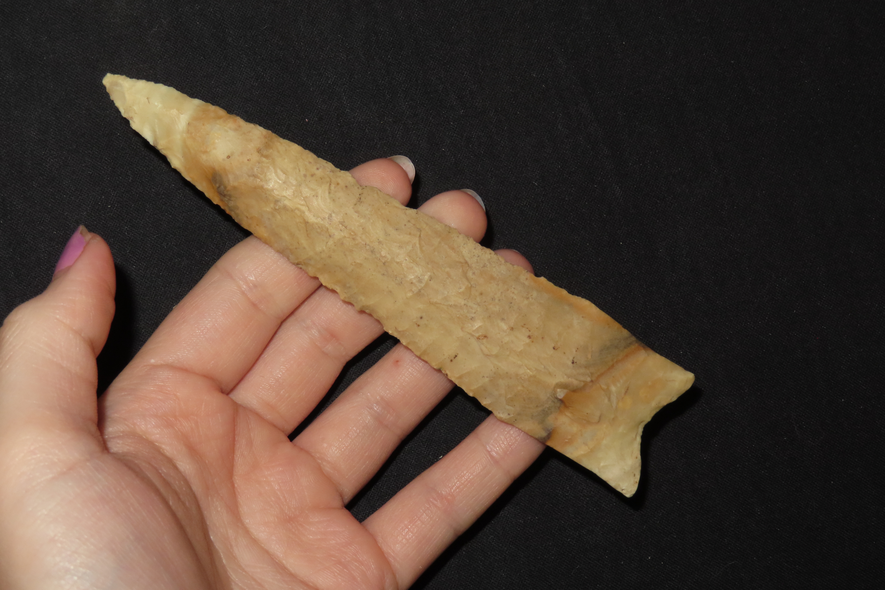 5 1/2" x 1 1/4" Dalton, Dickey COA, Crescent Quarry Chert, Saline Co., Missouri, Ex. E. H. Harmon