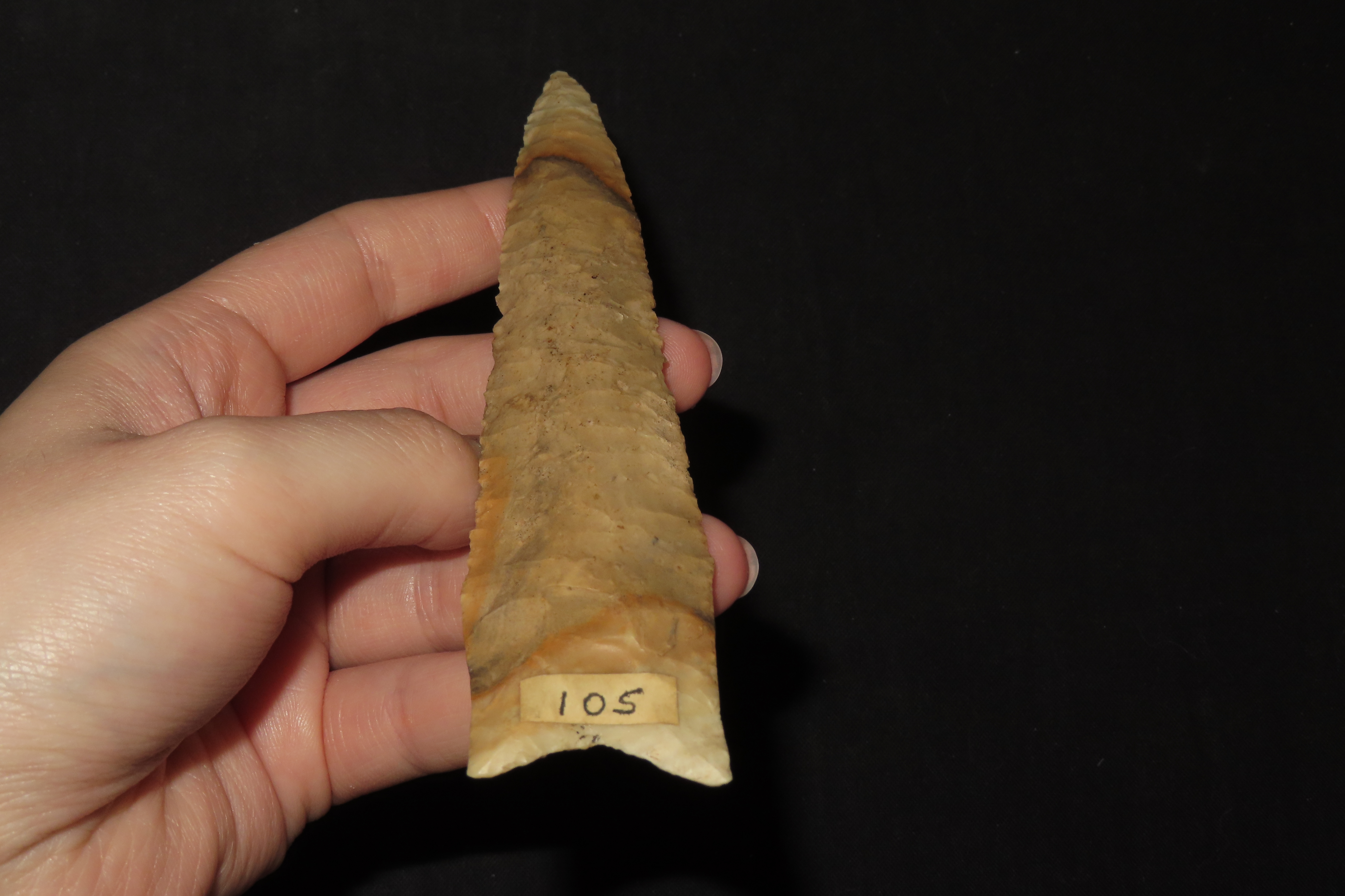 5 1/2" x 1 1/4" Dalton, Dickey COA, Crescent Quarry Chert, Saline Co., Missouri, Ex. E. H. Harmon