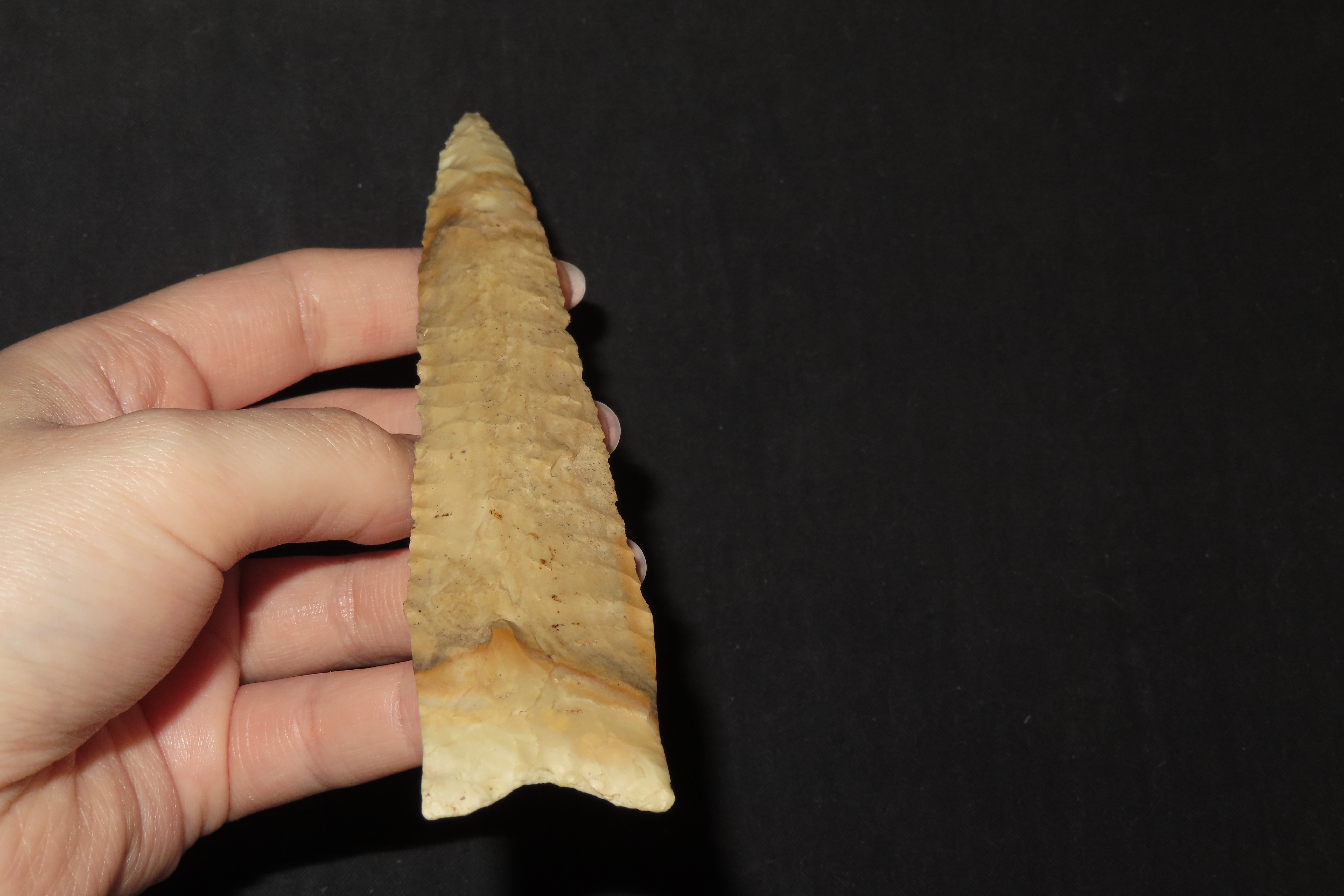 5 1/2" x 1 1/4" Dalton, Dickey COA, Crescent Quarry Chert, Saline Co., Missouri, Ex. E. H. Harmon