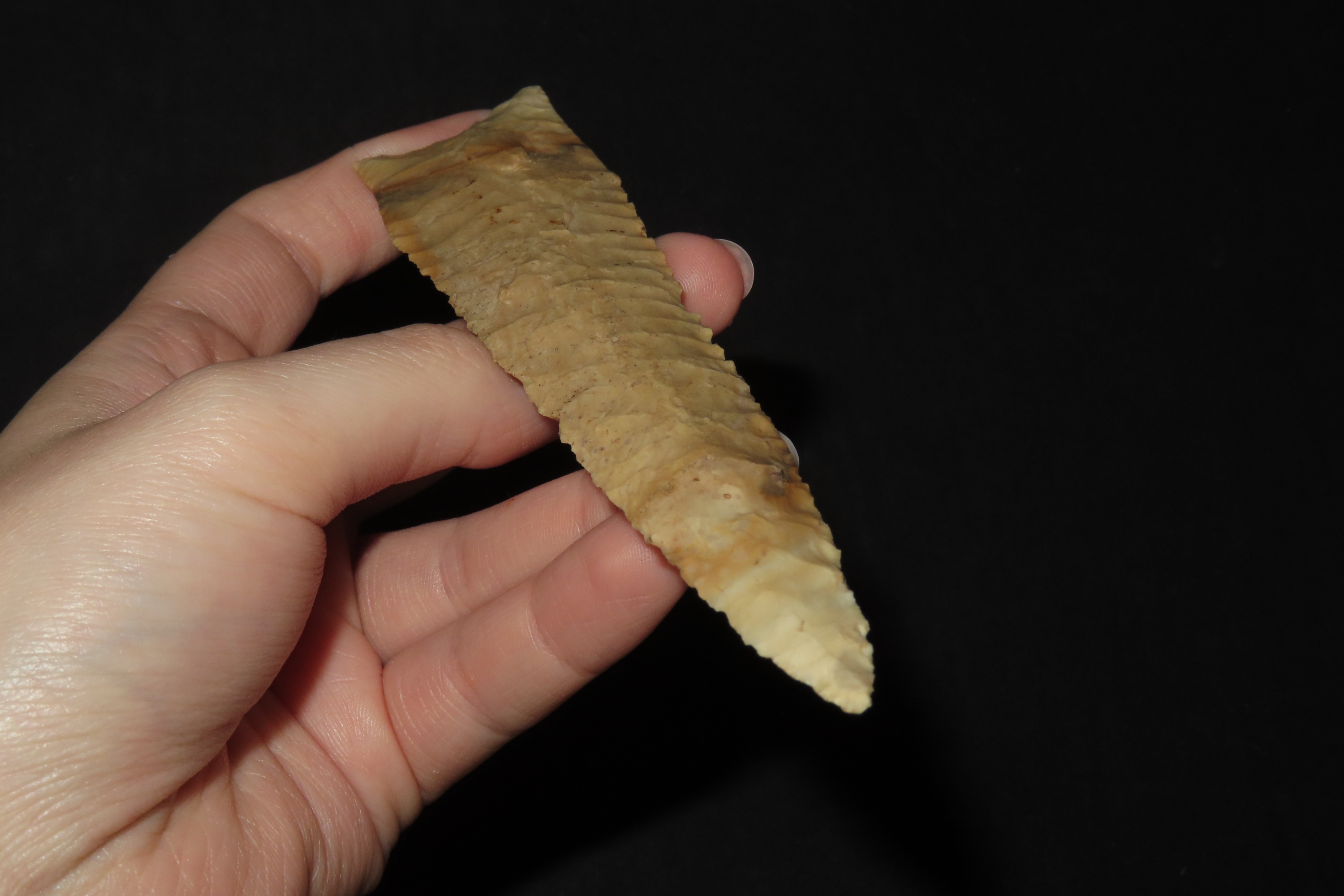 5 1/2" x 1 1/4" Dalton, Dickey COA, Crescent Quarry Chert, Saline Co., Missouri, Ex. E. H. Harmon