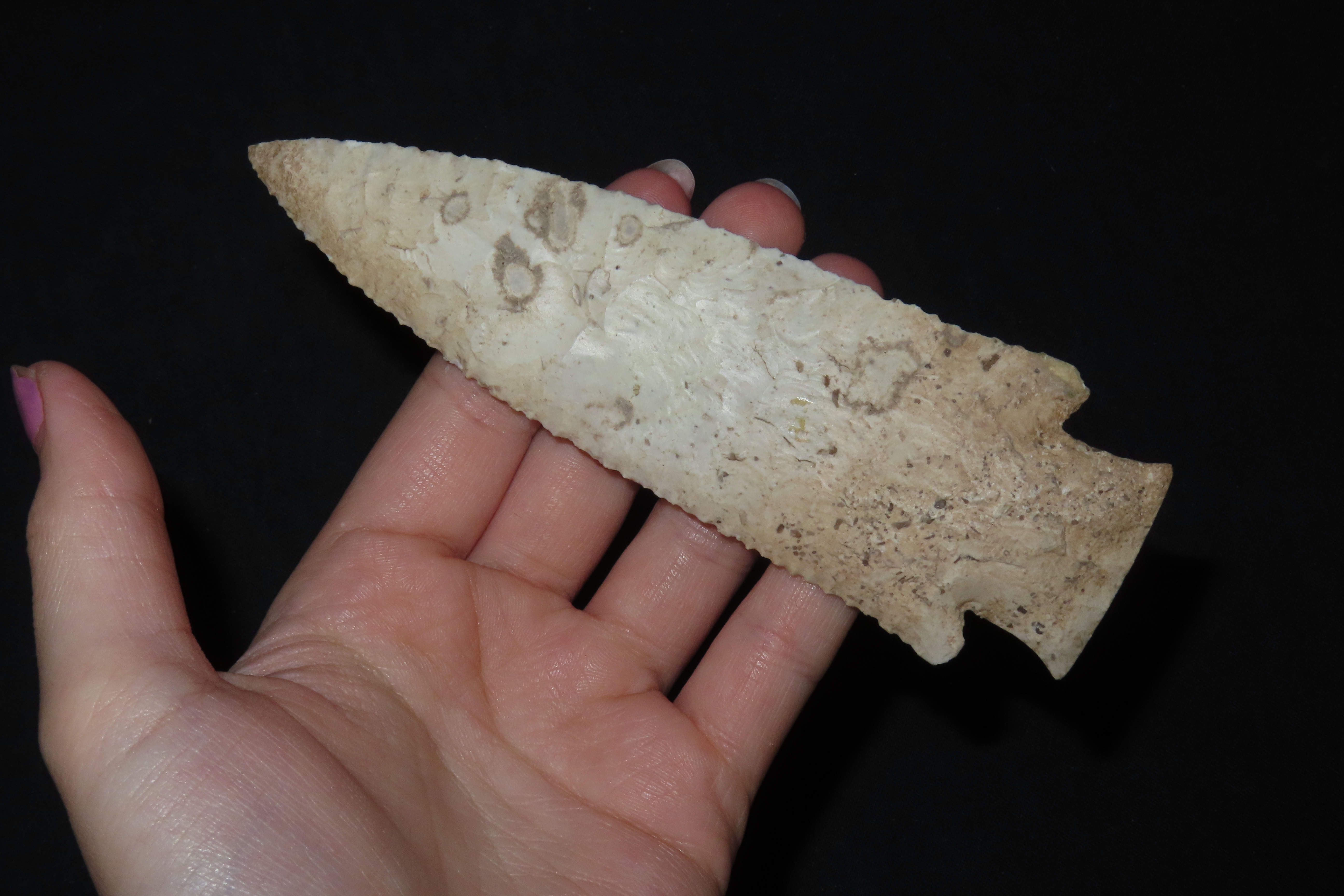 5 7/16" Hardin, Putty COA, Pike Co., Indiana, Ex. Curt Wheeler Collection, Ex. Herb Mangold Collection