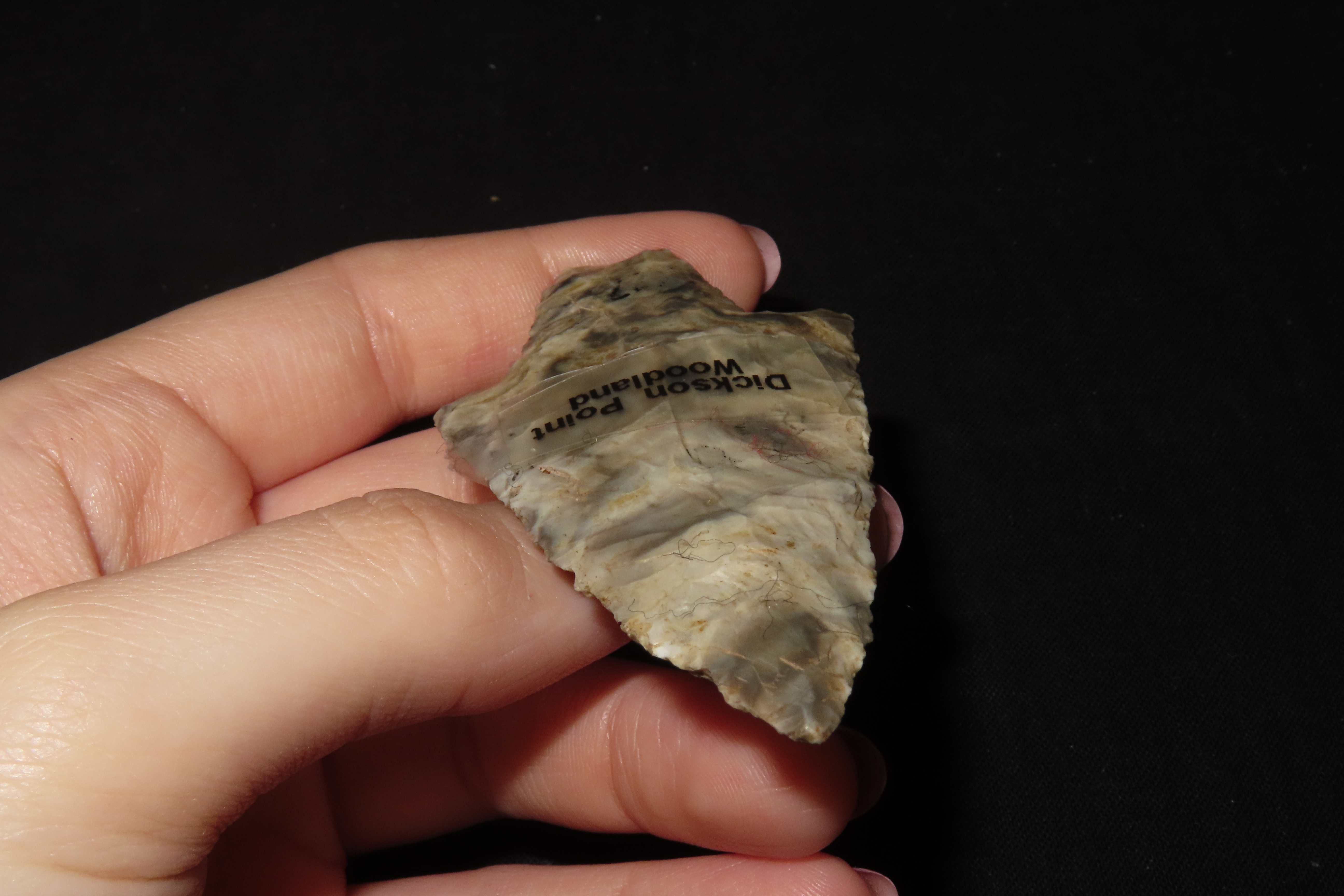 3 1/4" Dickson, Perino COA, Cooper Co., Missouri, Ex. Herb Mangold Collection