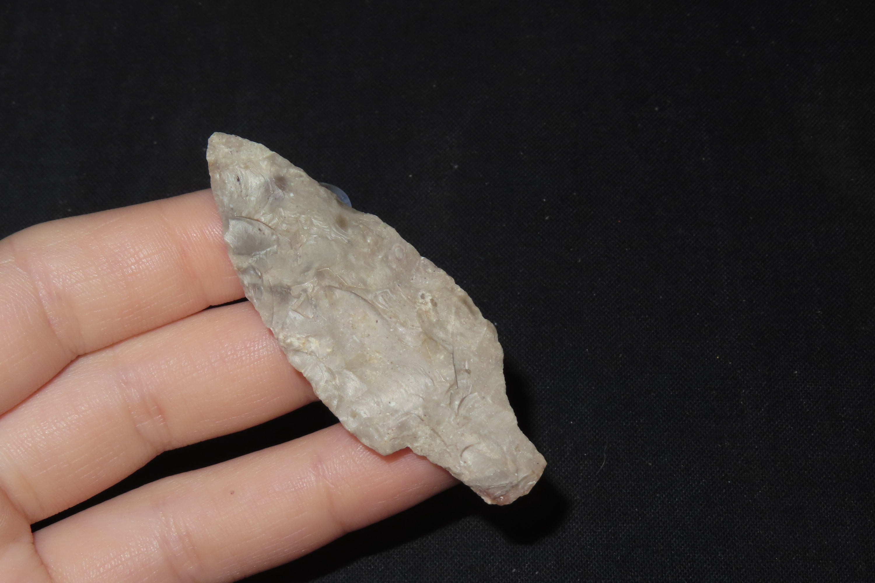 2 1/2" Dickson, Posey Co., Indiana