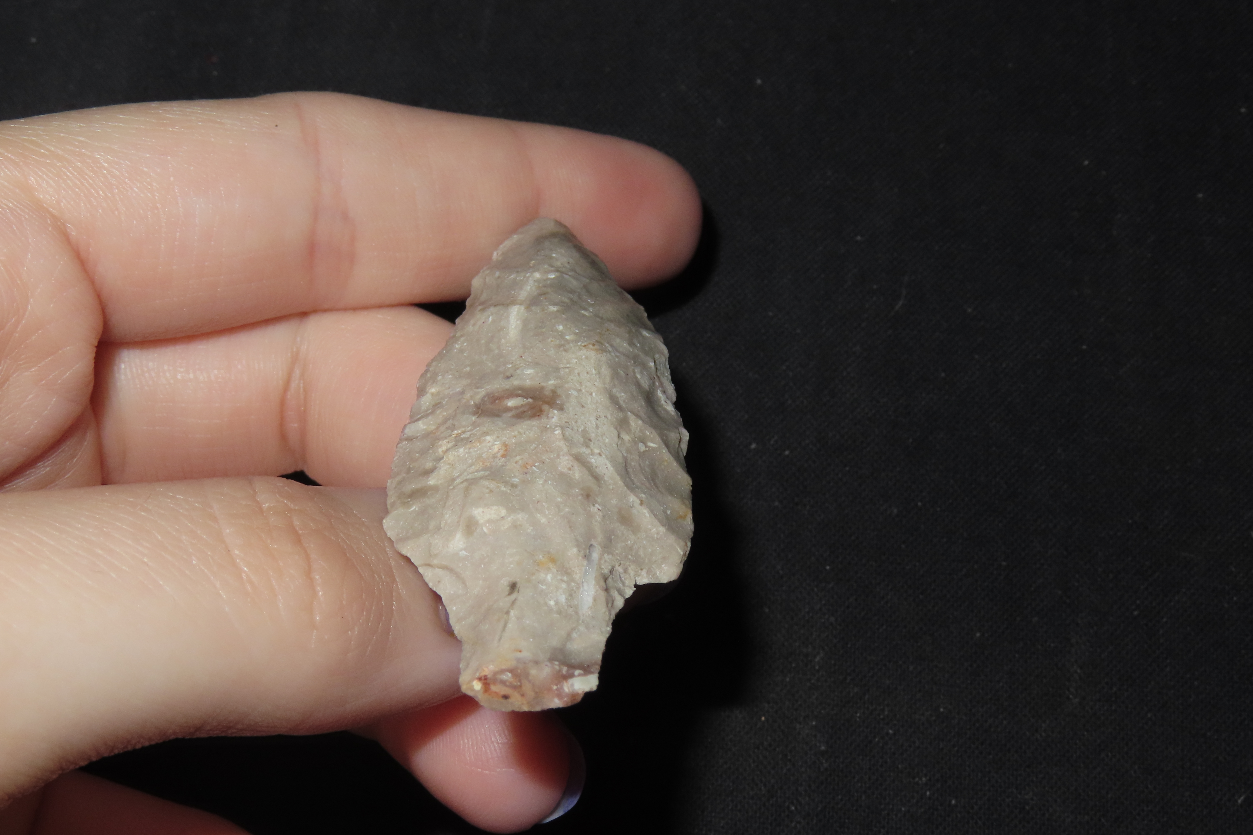 2 1/2" Dickson, Posey Co., Indiana
