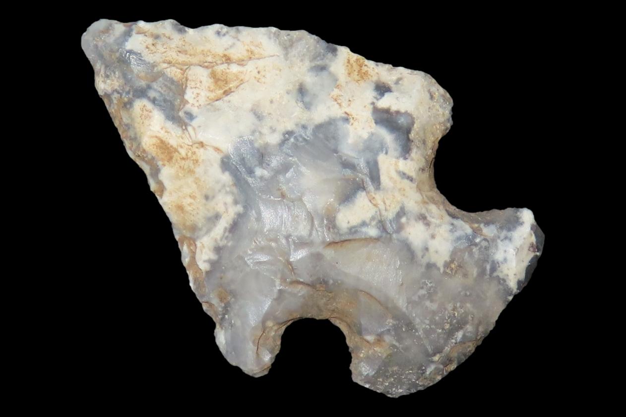 1 1/8" Koster Bird Point, Greene Co., Illinois