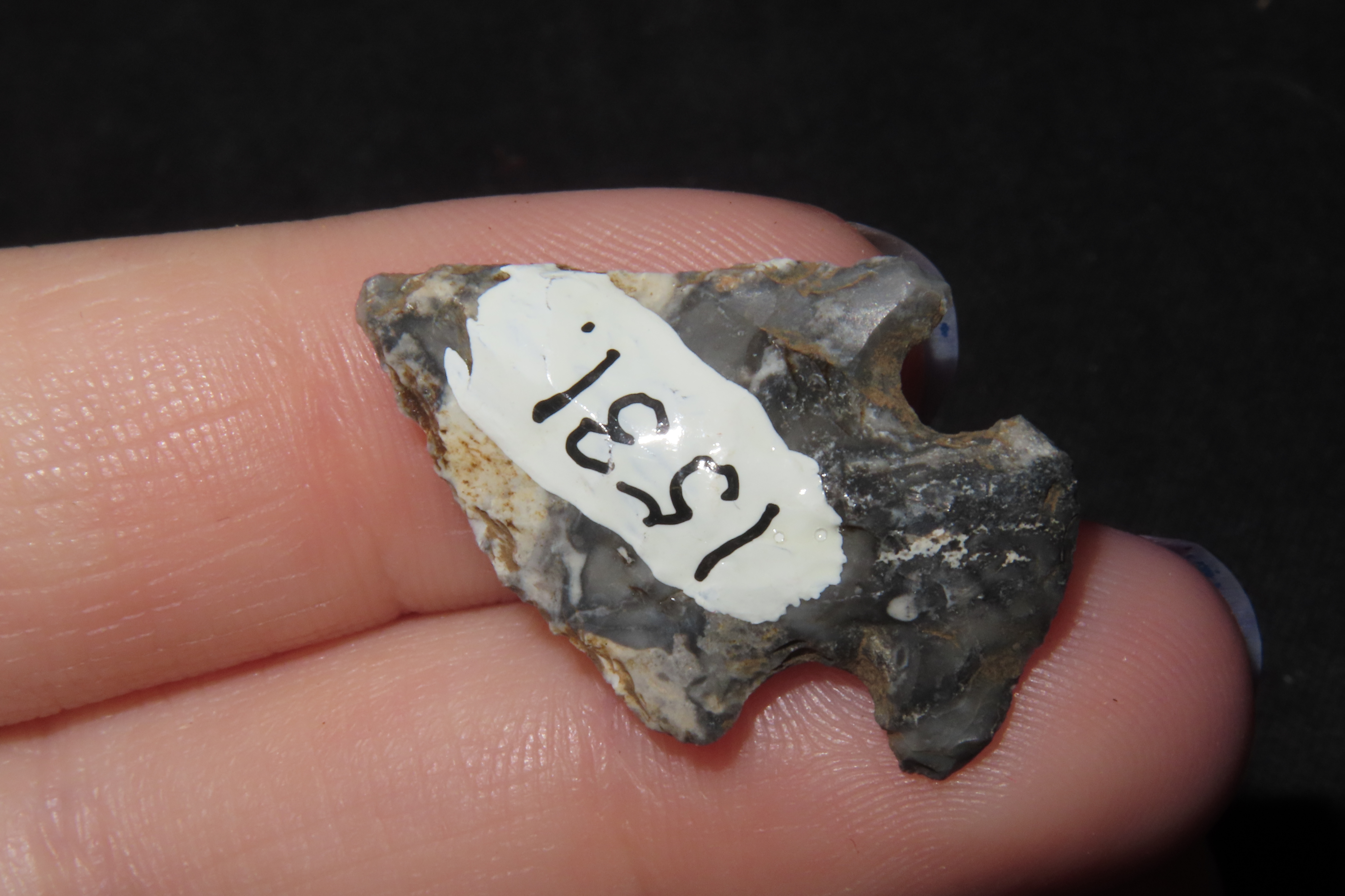 1 1/8" Koster Bird Point, Greene Co., Illinois