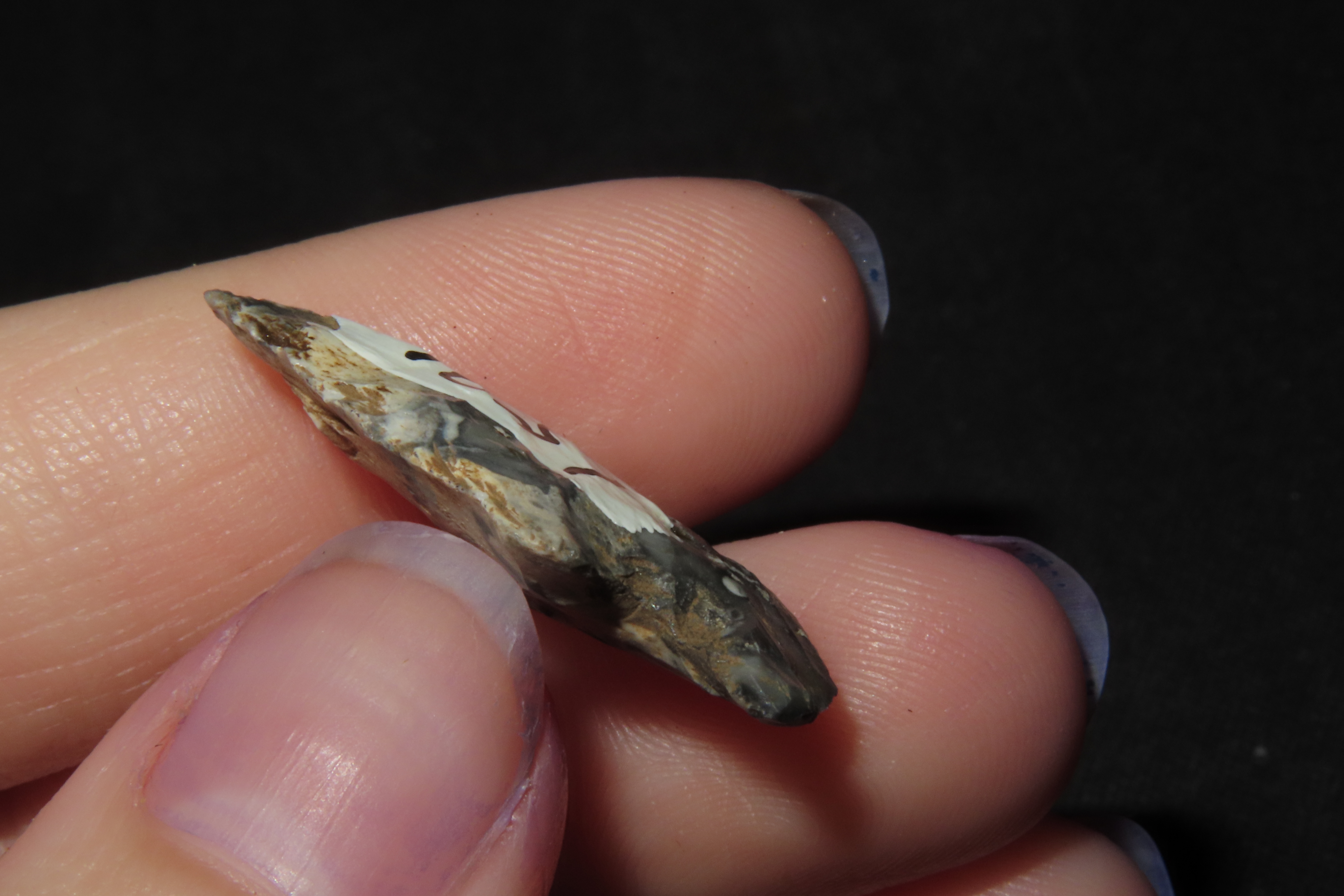 1 1/8" Koster Bird Point, Greene Co., Illinois