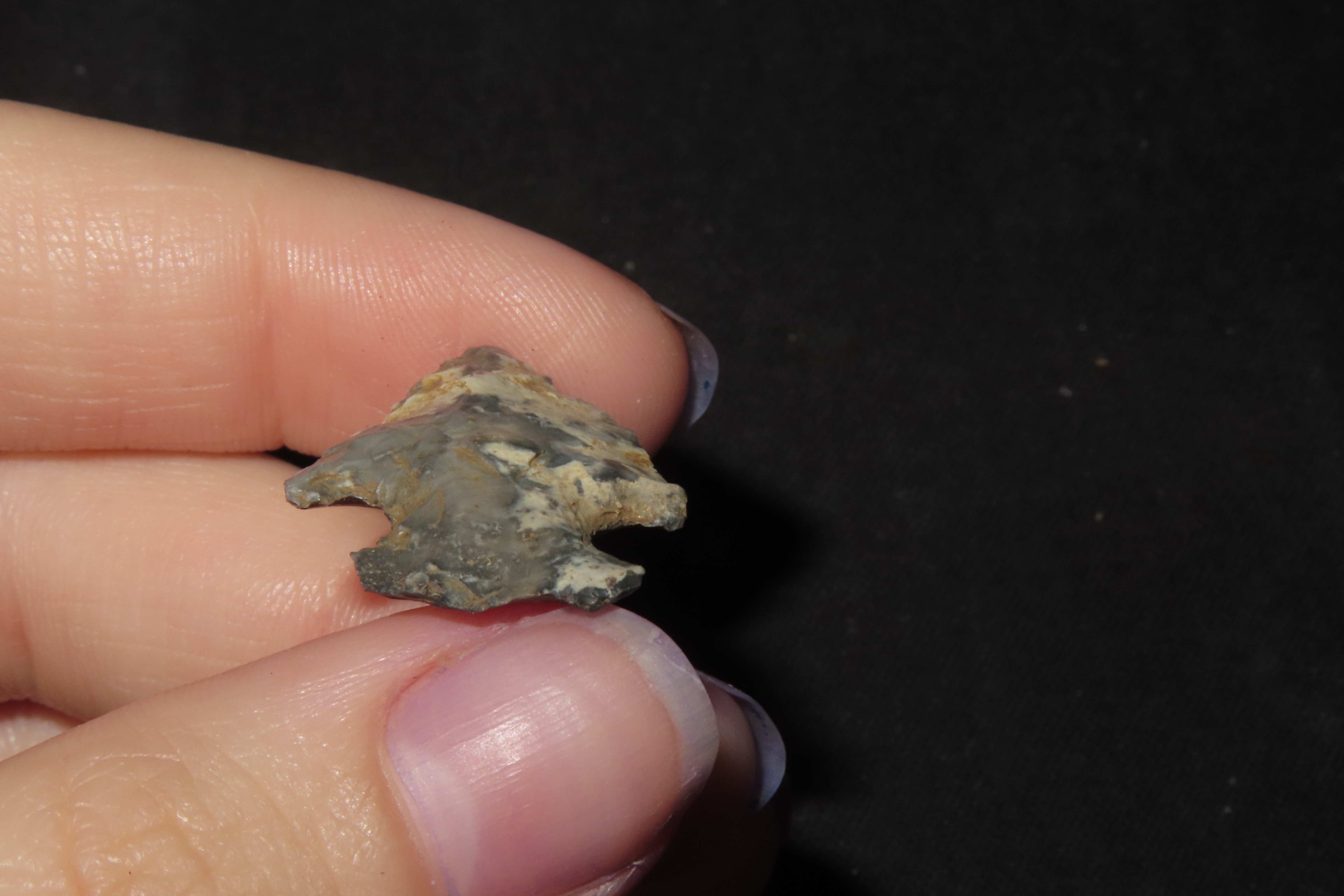 1 1/8" Koster Bird Point, Greene Co., Illinois
