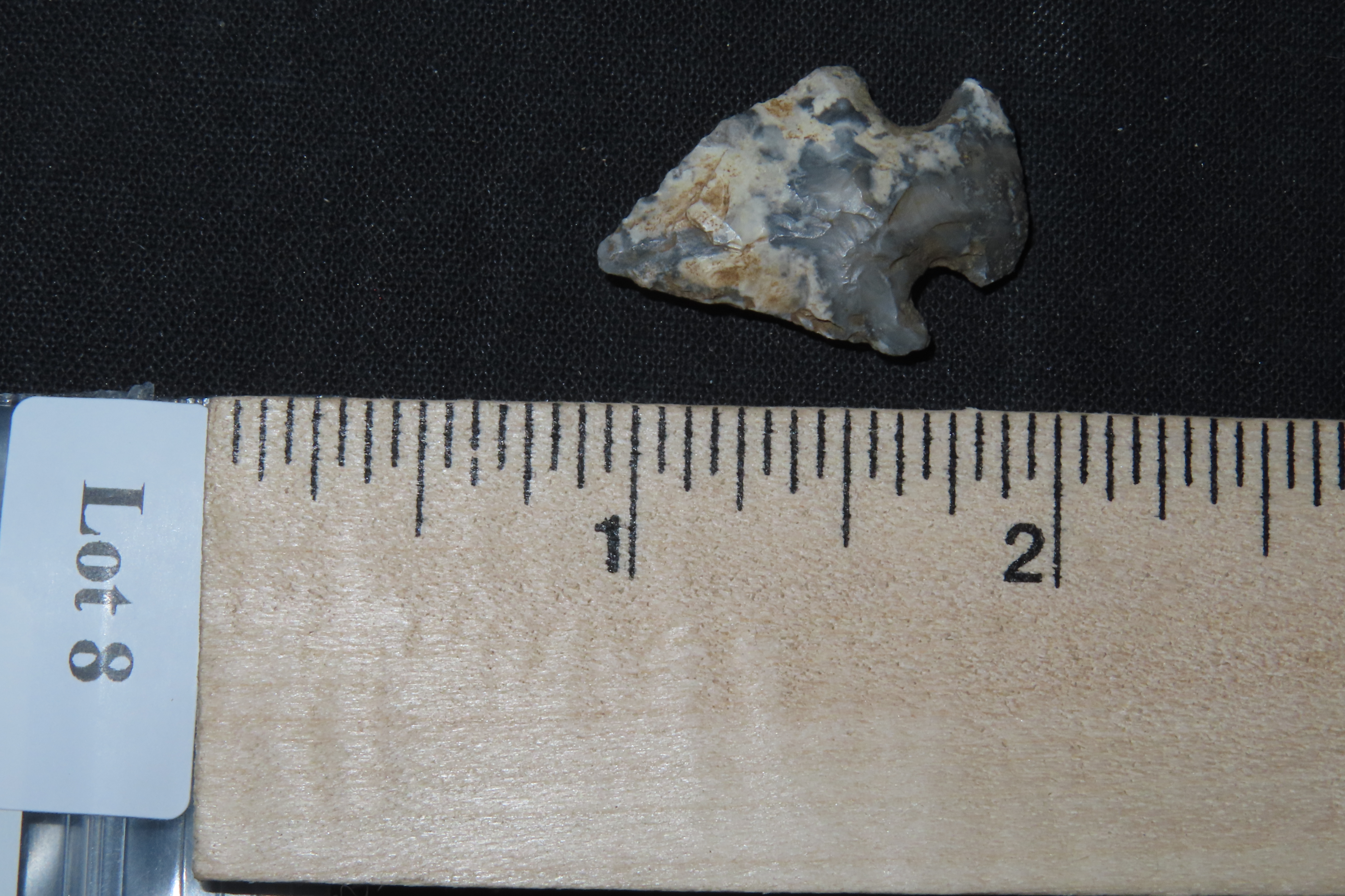 1 1/8" Koster Bird Point, Greene Co., Illinois