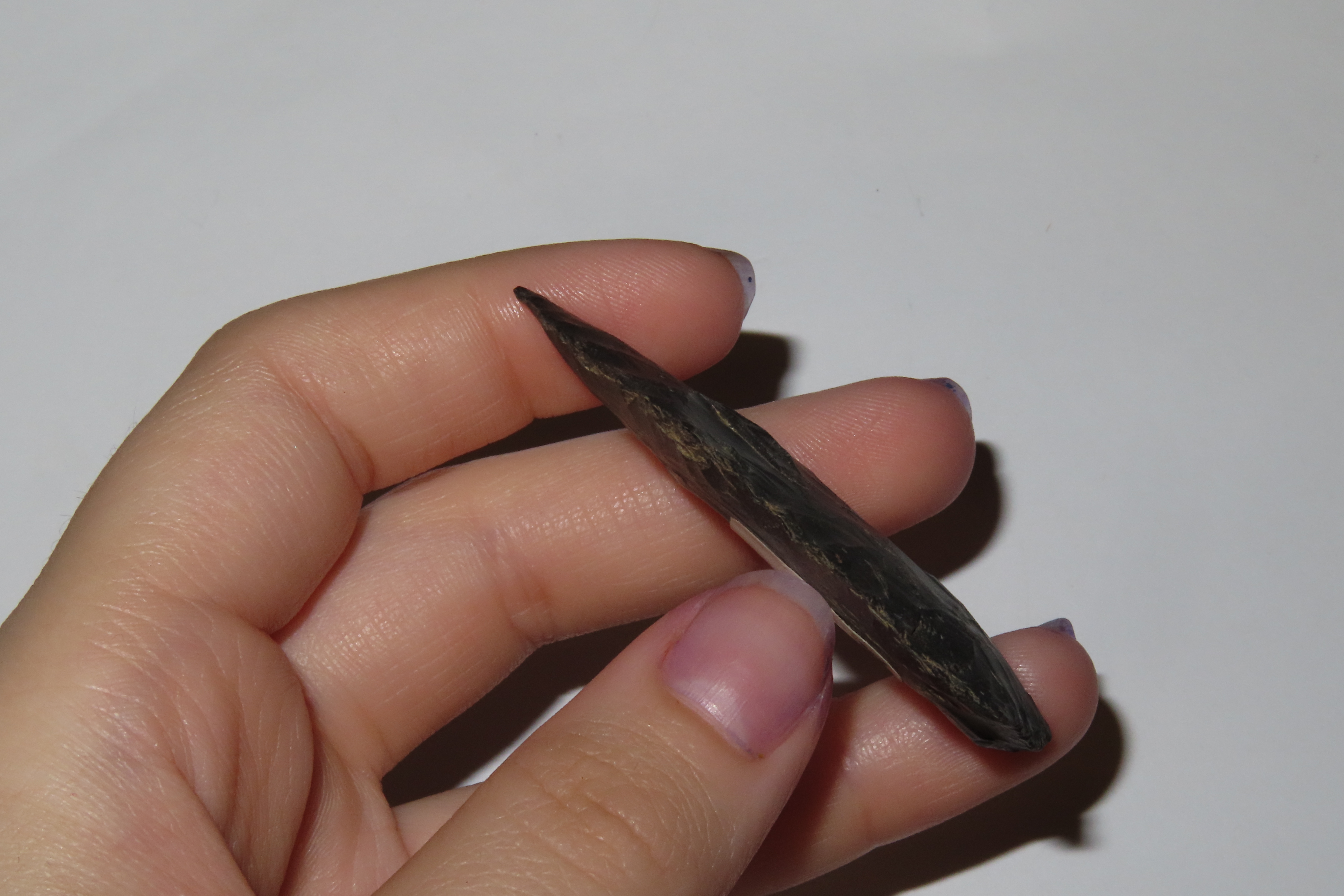 2 1/2" Copena Blade, Kentucky