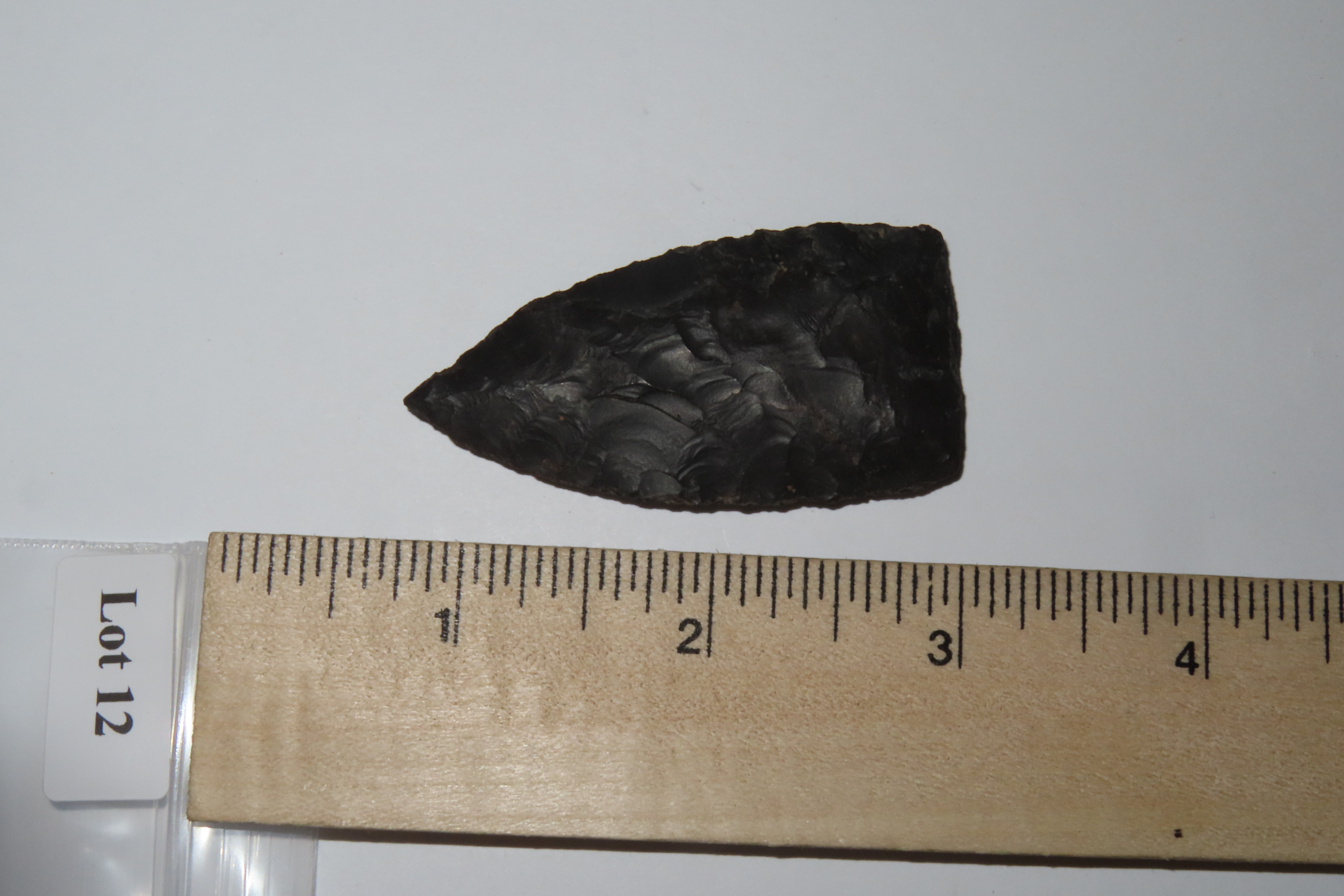 2 1/2" Copena Blade, Kentucky
