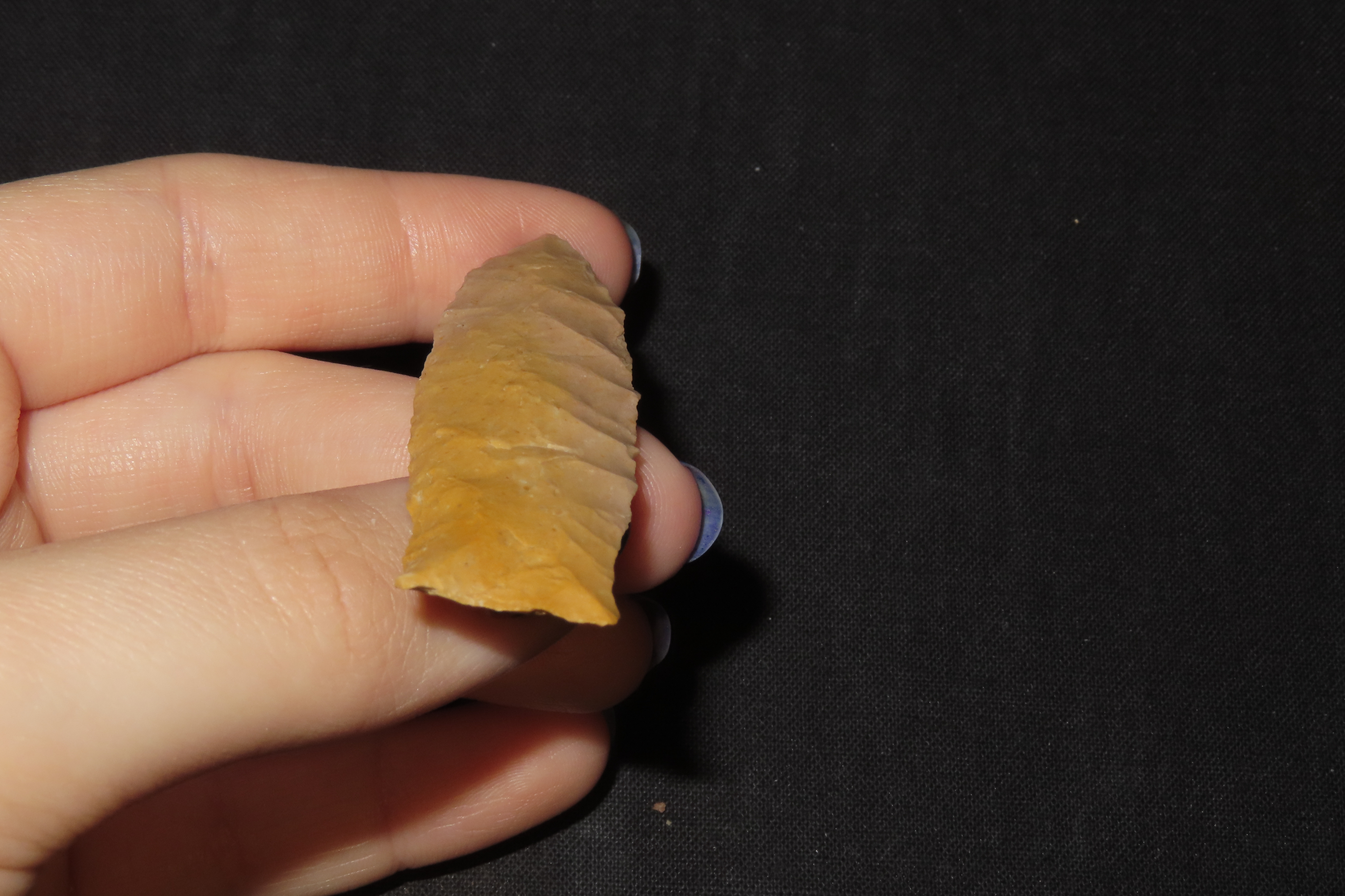 2 5/16" Eden, Cream-Colored Chert, Dawson Co., Montana