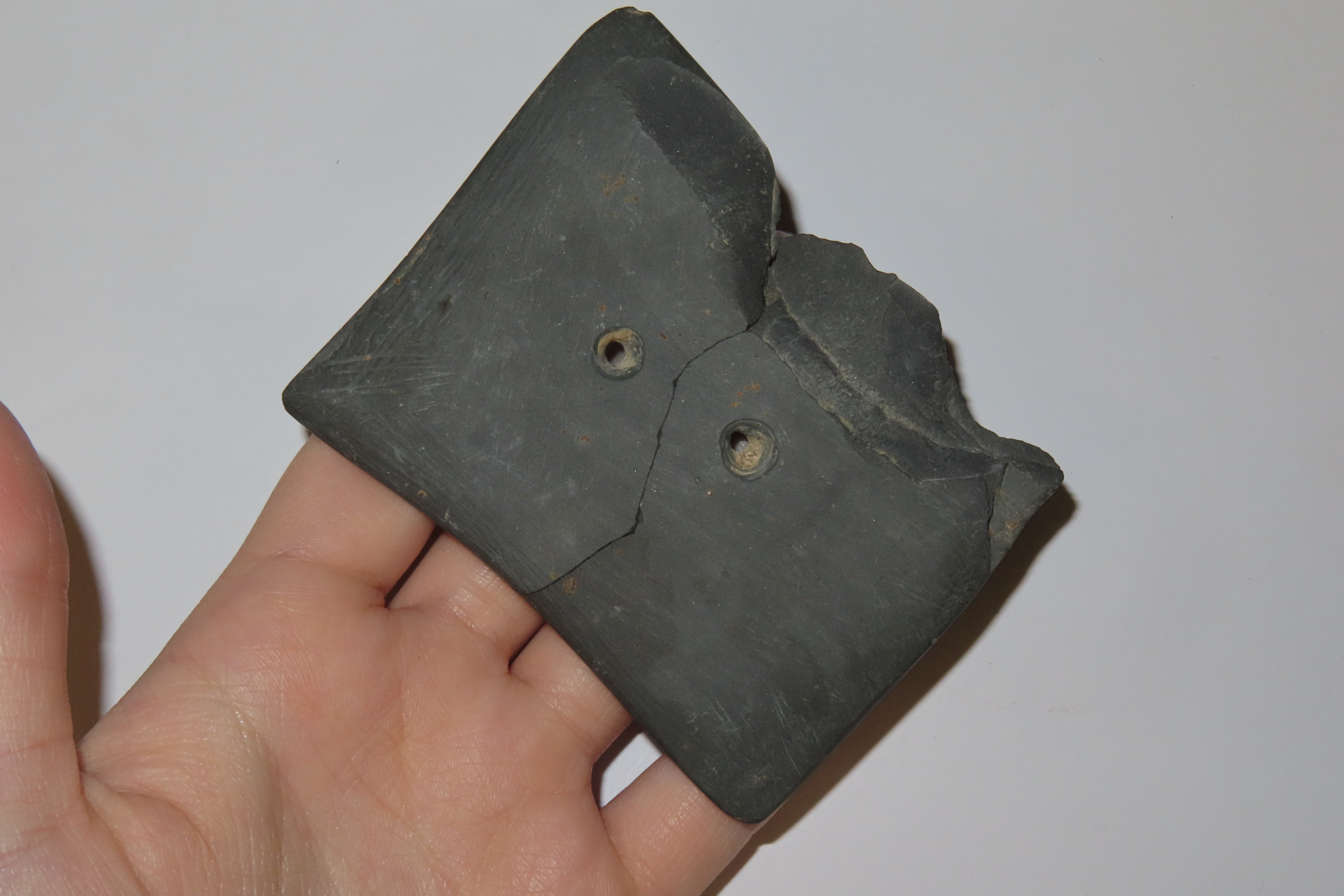 3 1/4" Concave Gorget, North Carolina