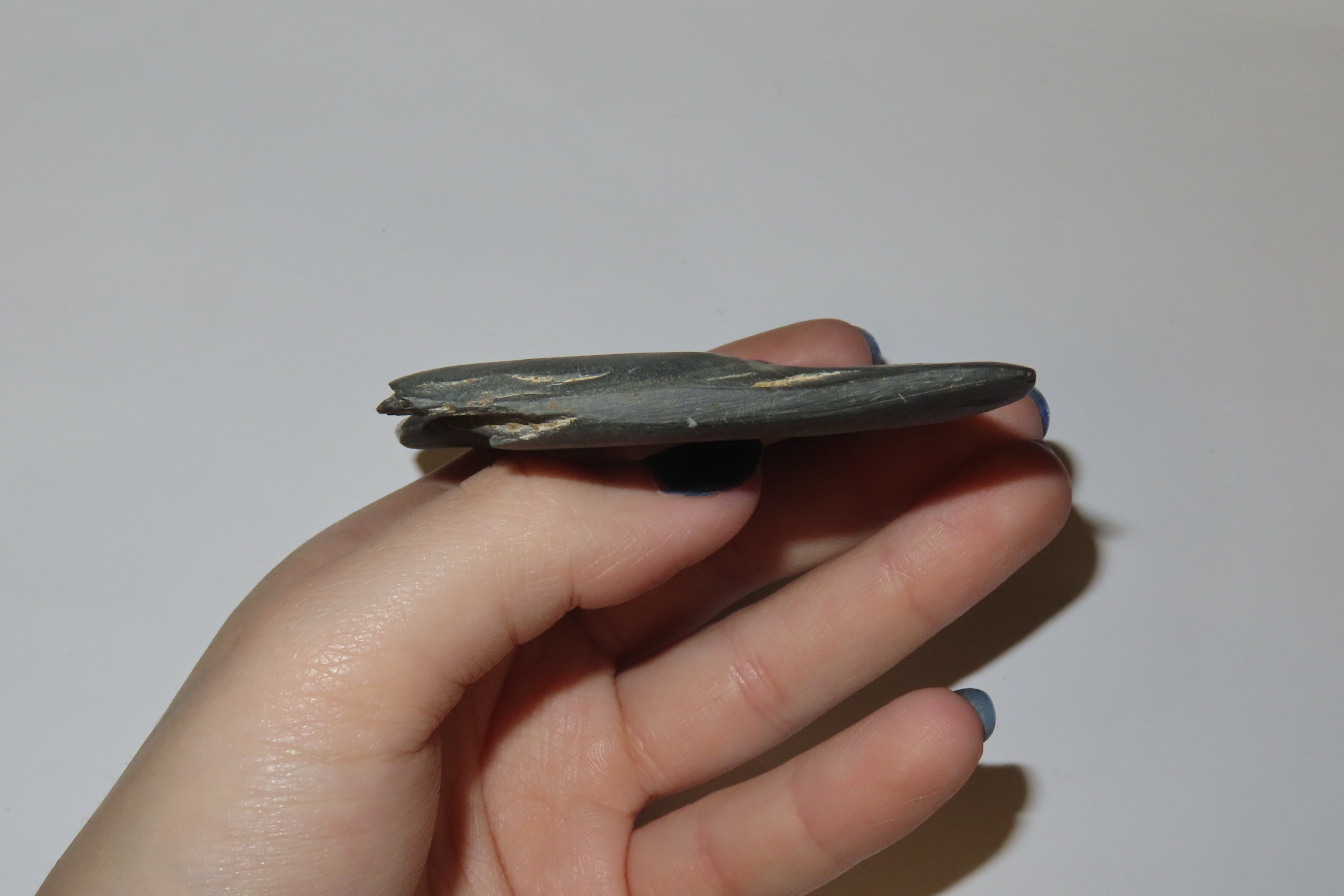 3 1/4" Concave Gorget, North Carolina
