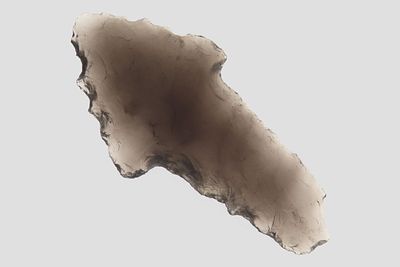 1 7/8" Cougar Mountain, Gem Obsidian, Eastern Oregon, Ex. Ronald Bowles Collection