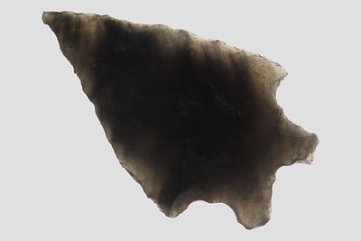 1 3/8" Elko Split Stem, Gem Obsidian, Eastern Oregon, Ex. Ronald Bowles Collection