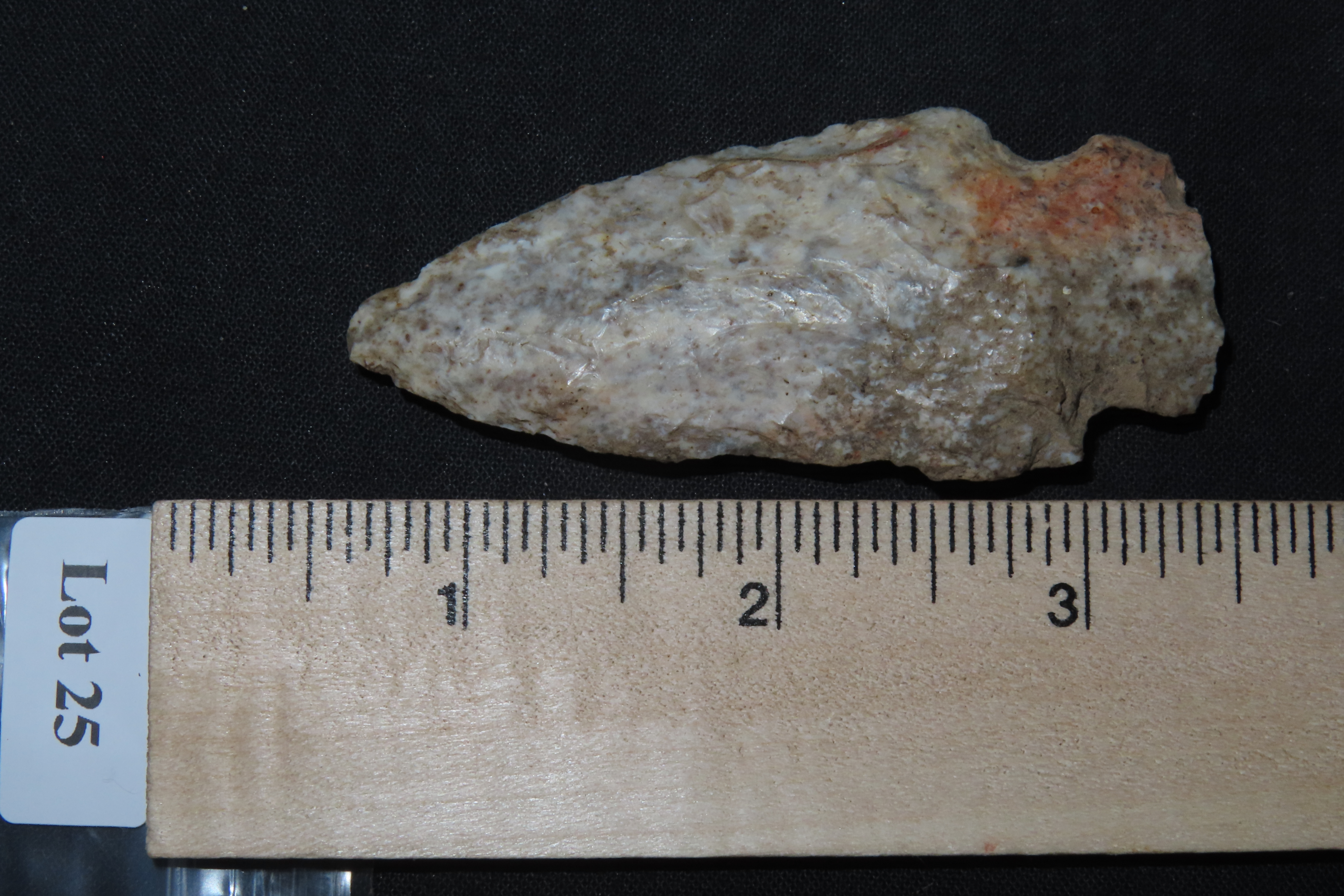 2 7/8" Rice Lobed, Missouri